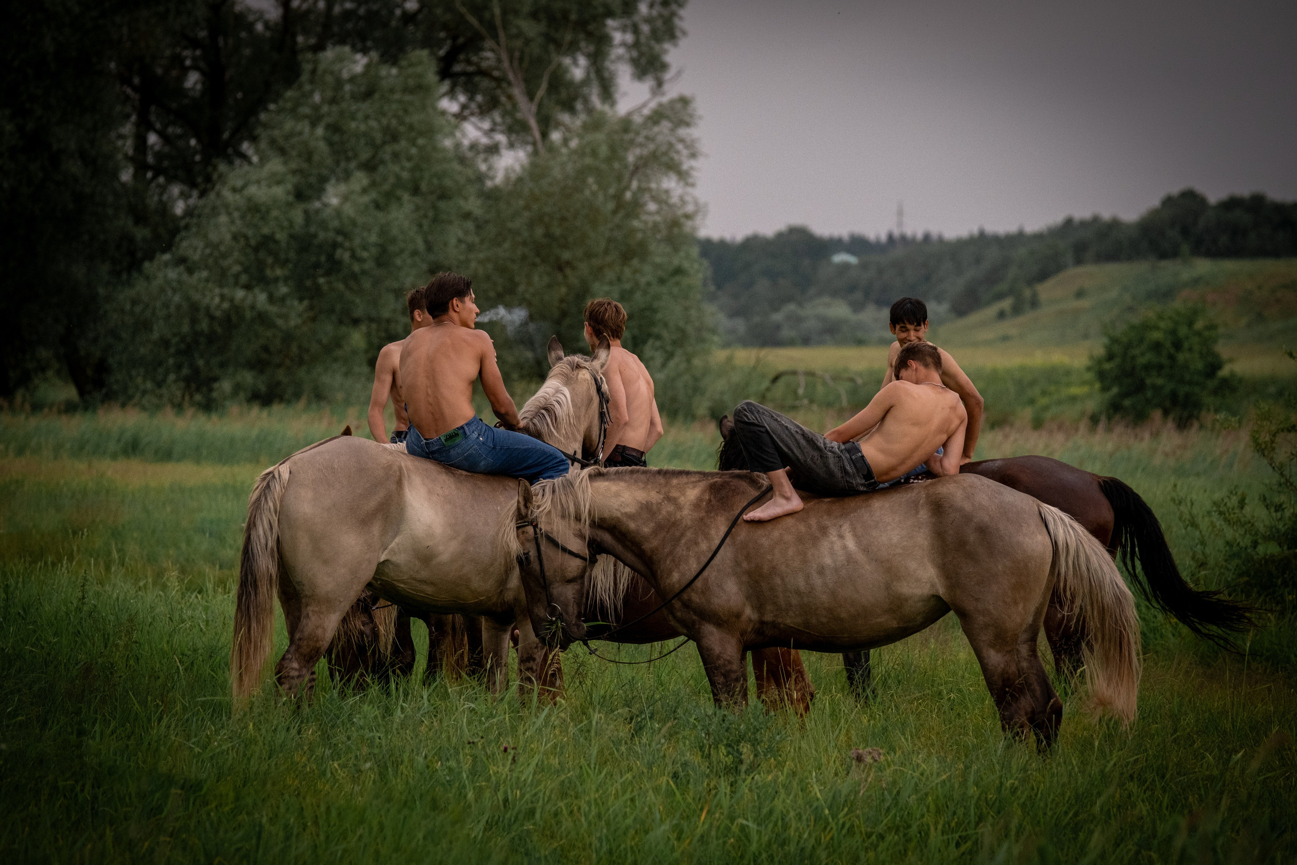 Аванпост, конное ранчо. Зоофотограф, фотограф животных в Москве и области Дина Дамоцева