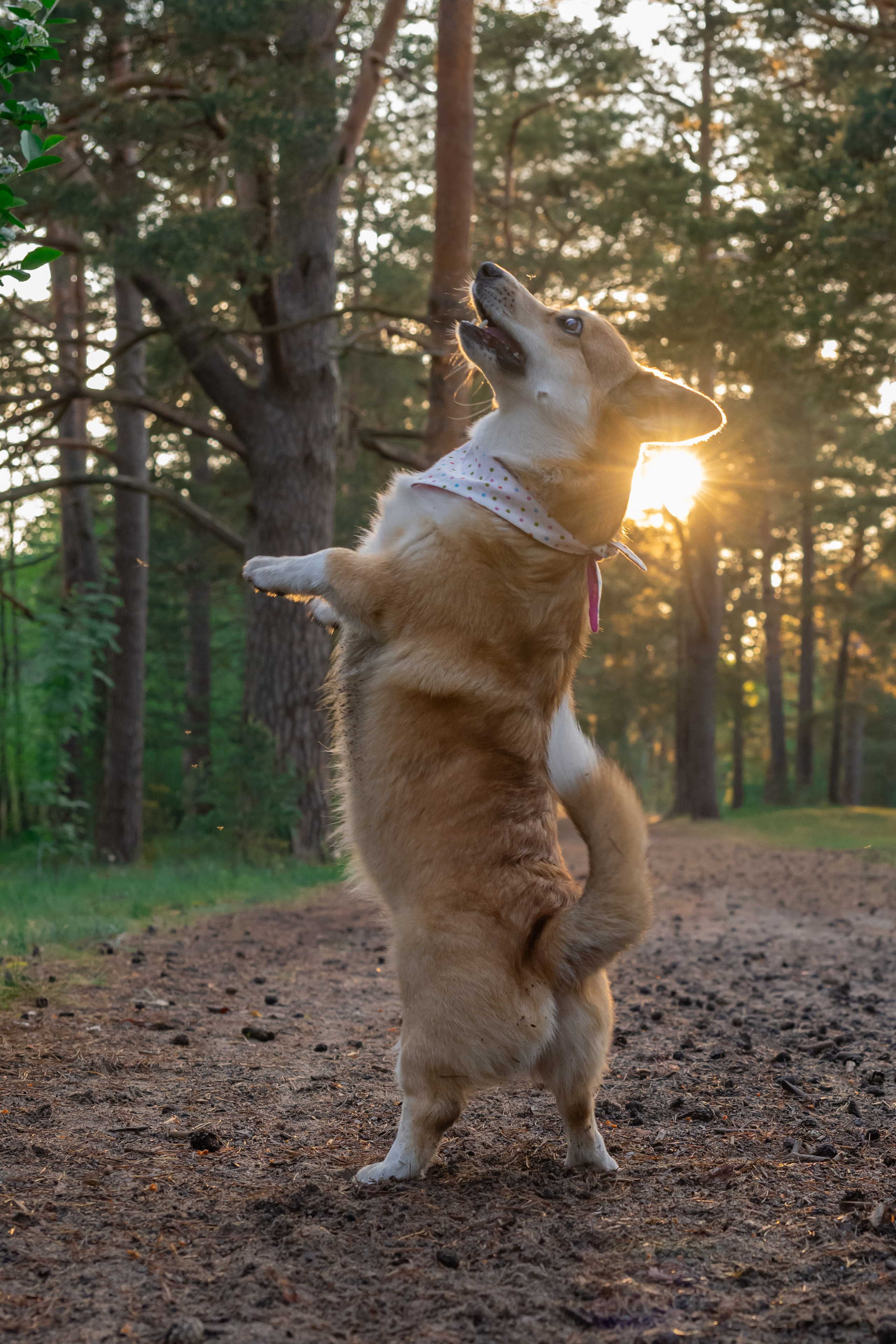 Семейные съемки. Фотограф в Санкт-Петербурге Александра Ладыгина
