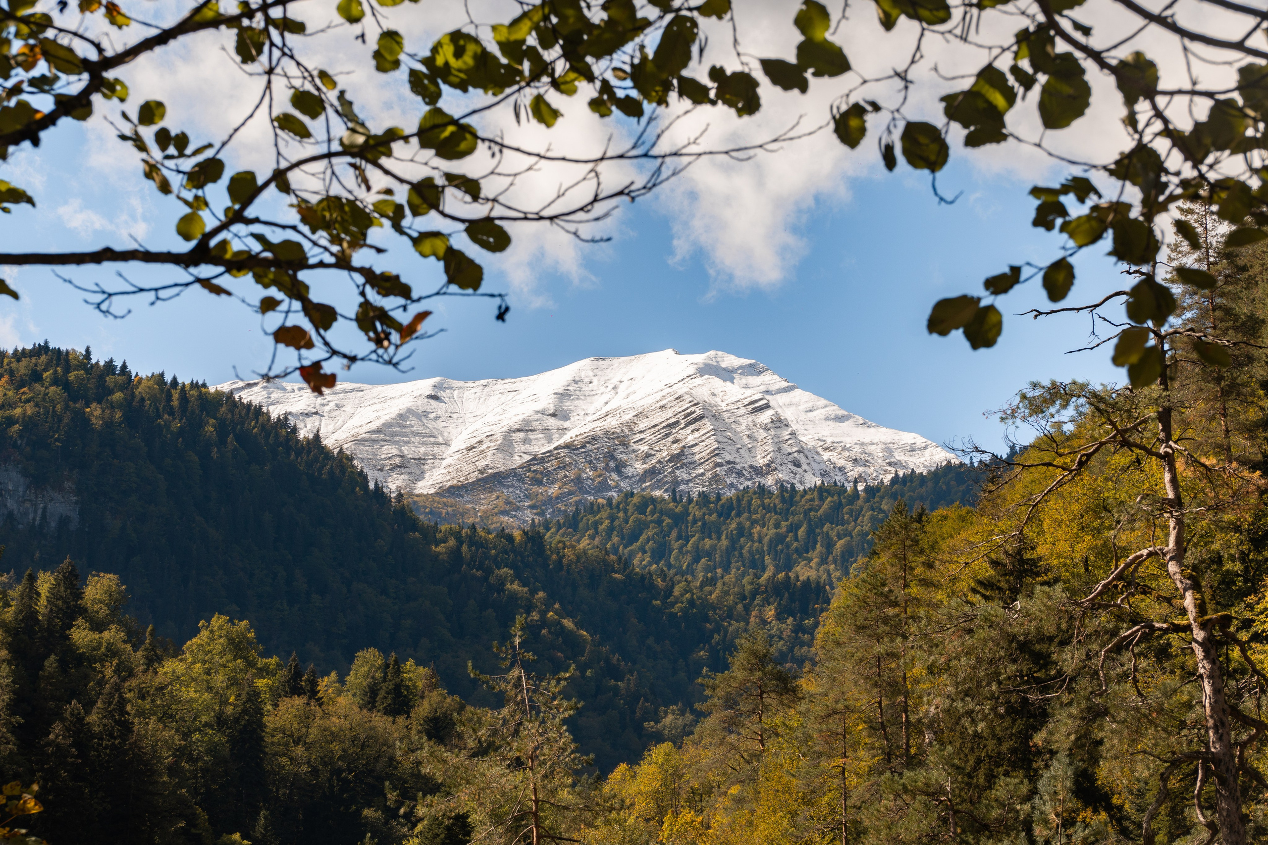 Абхазия. Gusarov Travel Photography