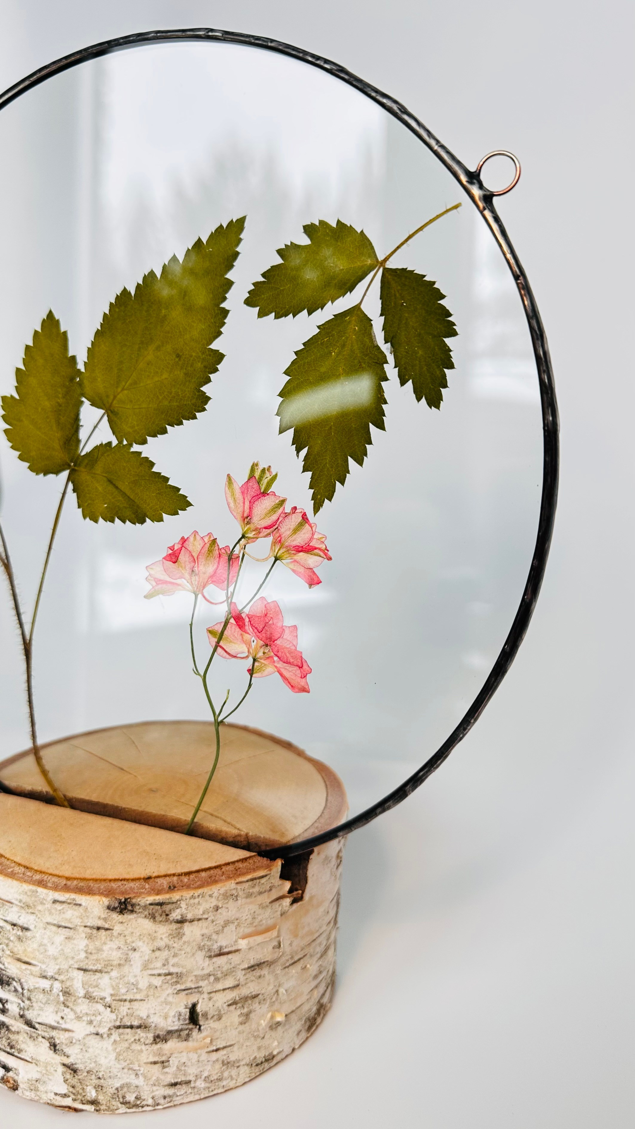 Гербарий в стекле с сухоцветами (витраж в технике тиффани). Гербарий в стекле, интерьерные панно, витражи с сухоцветами в технике тиффани