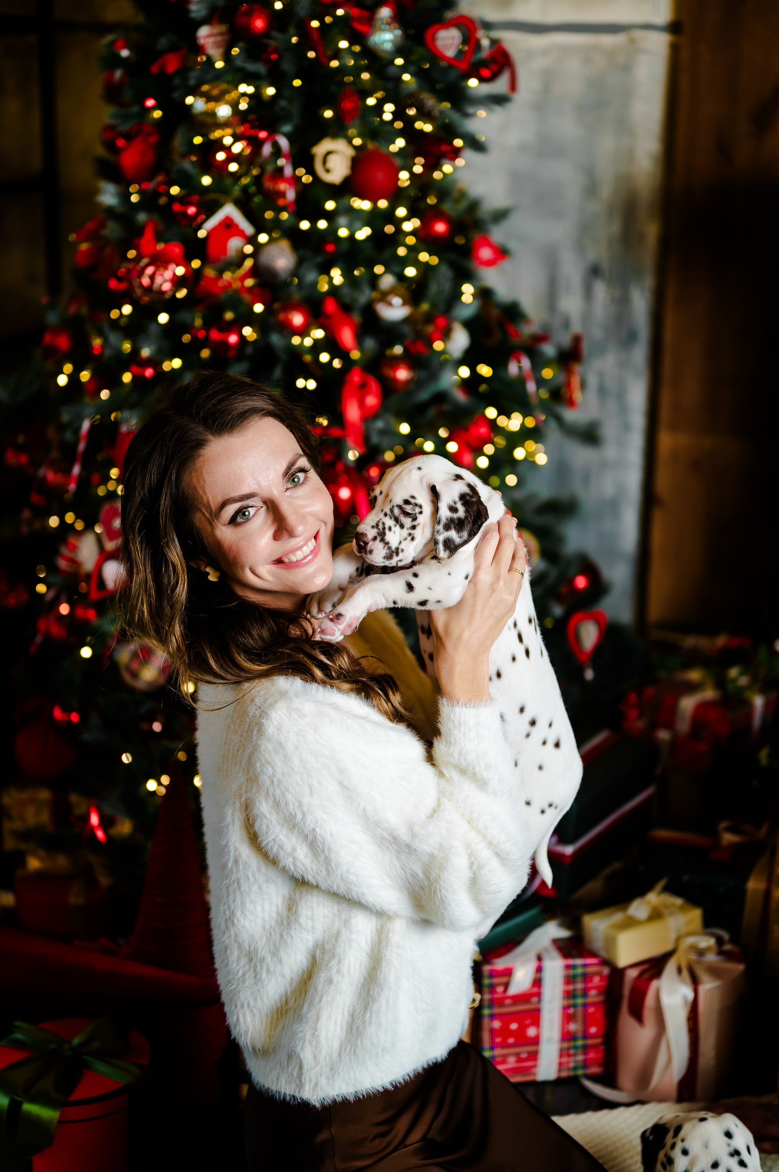 Фотосессия с далматинцами. Свадебный и семейный фотограф Евгения Кононова