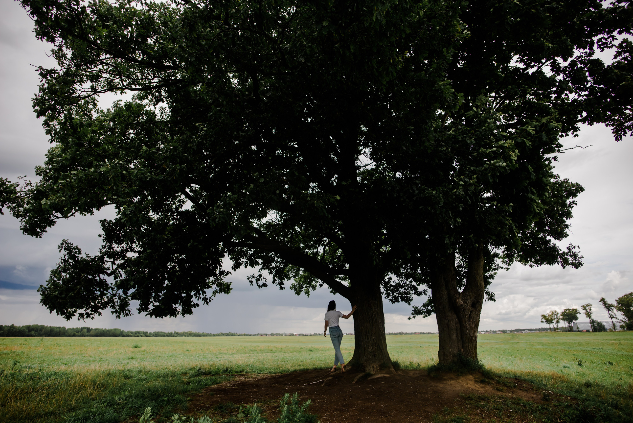 Анна и ее семья, фотосессия в поле. Свадебный и семейный фотограф Евгения Кононова