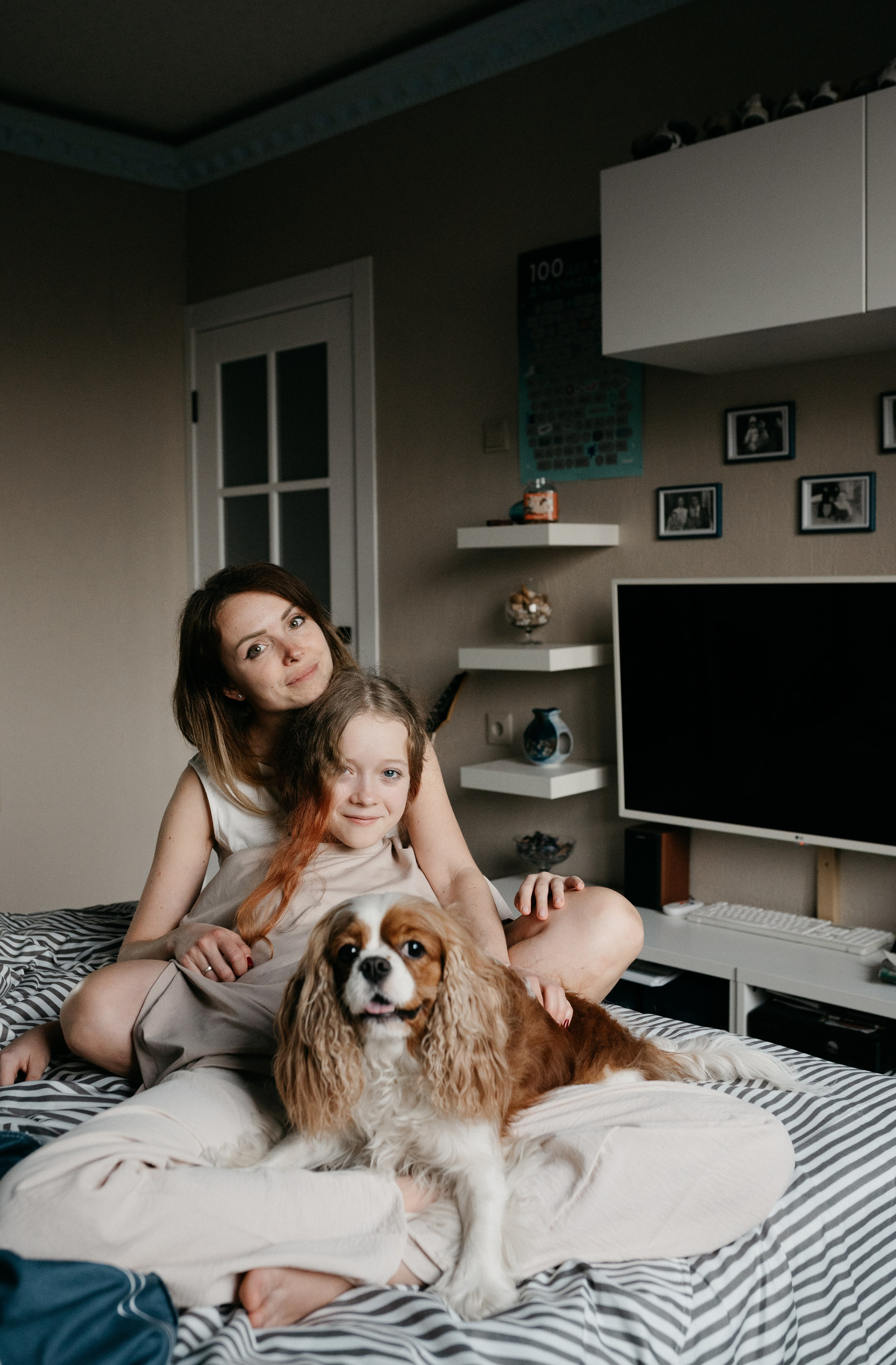 Даша, Диана, Дебби и маленькая крыска. Фотограф анималист в Москве Ольга Агушева