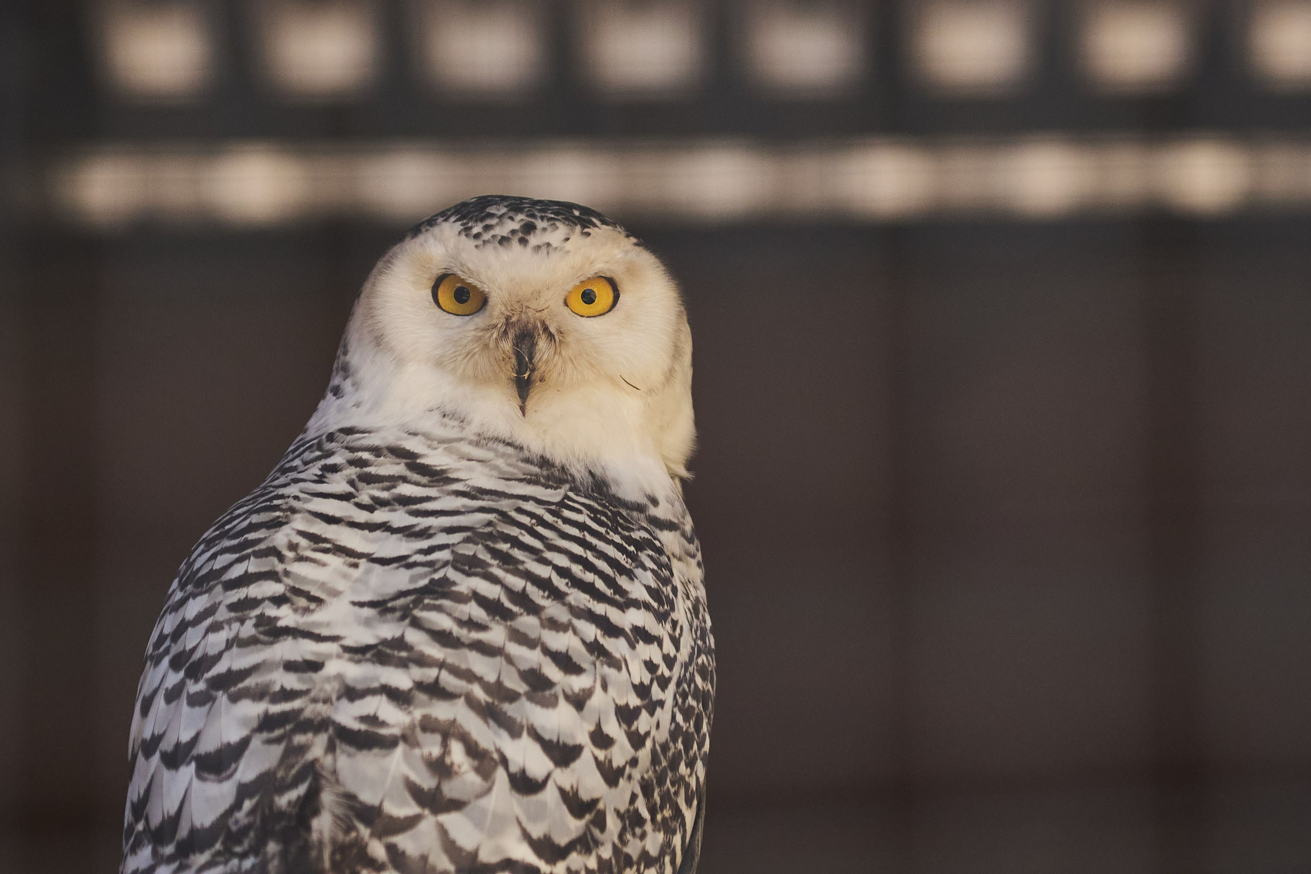 Зоопарк Иваново. Фотограф в Иваново: Каталожная съемка одежды и постельного белья, Wildberries