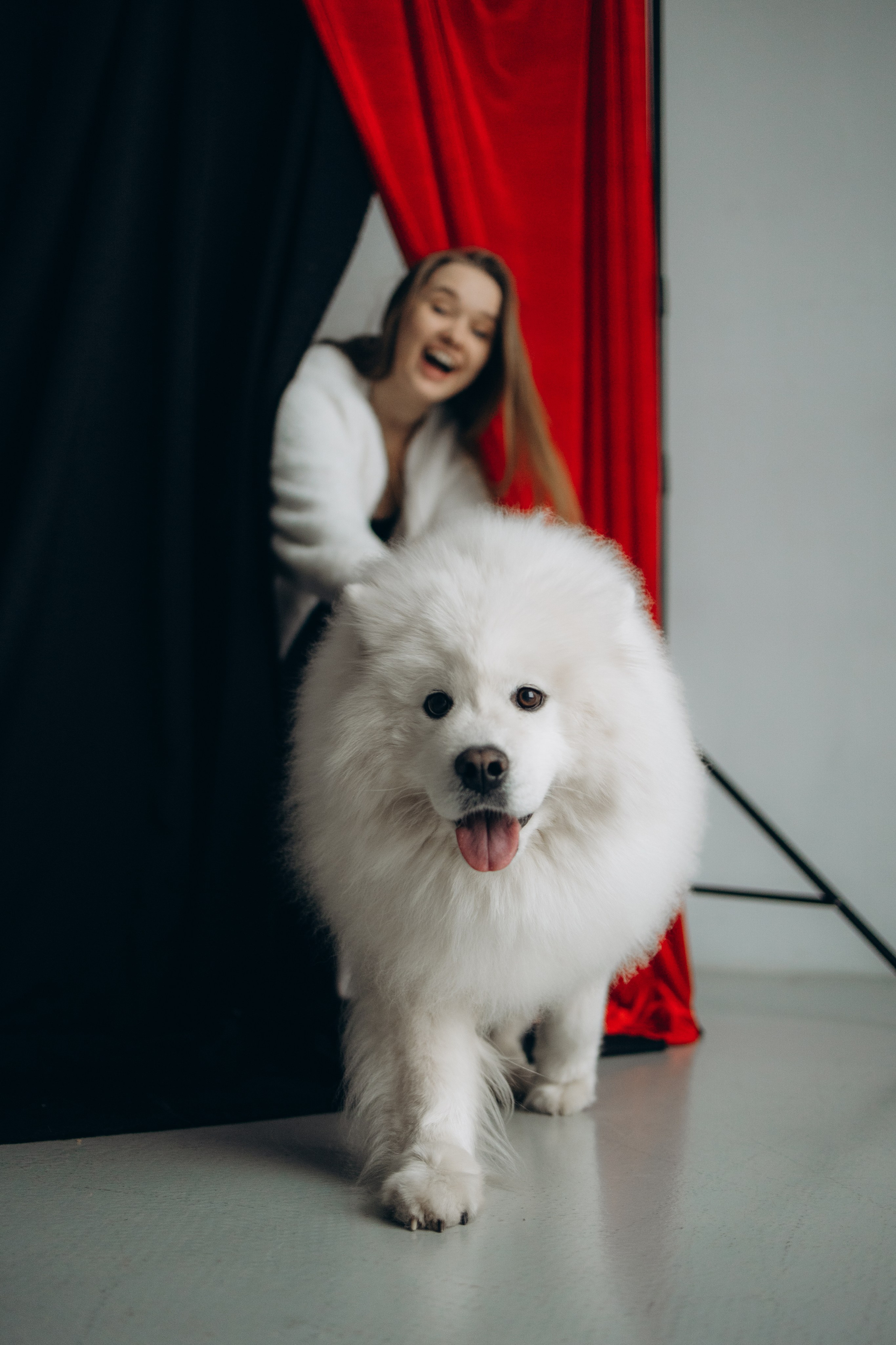 Настя и Кристофер. Фотограф — Анималист | Санкт-Петербург