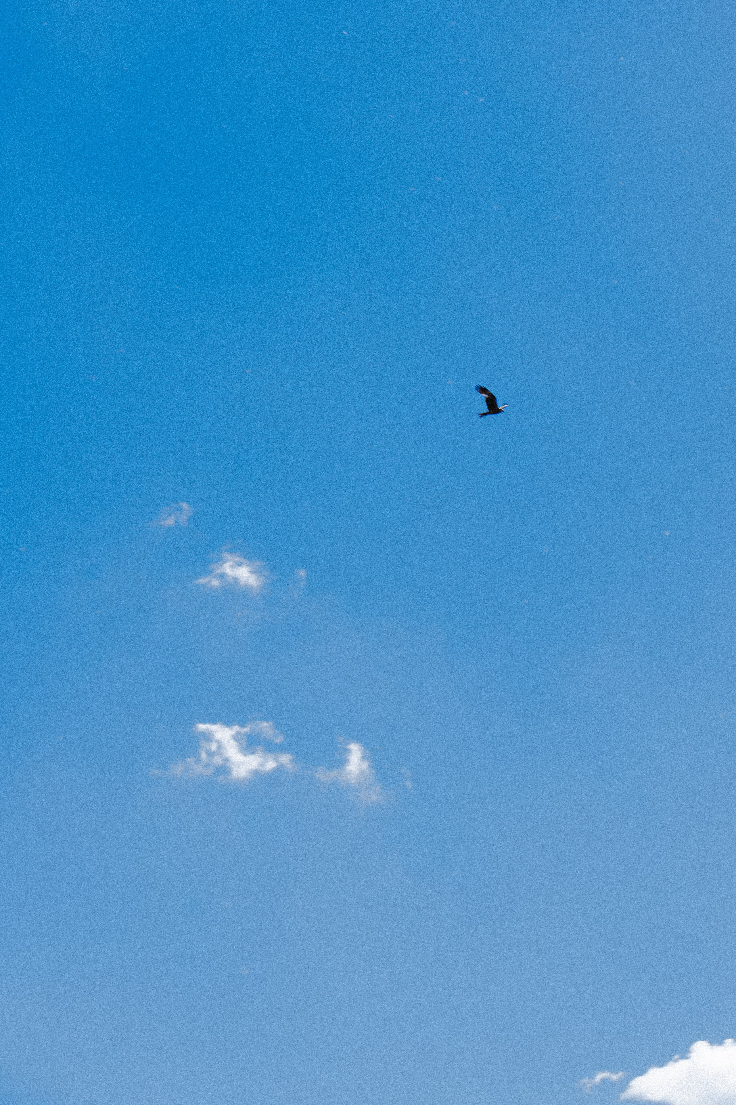 S&I. Свадебный и портретный фотограф Марина Юшина