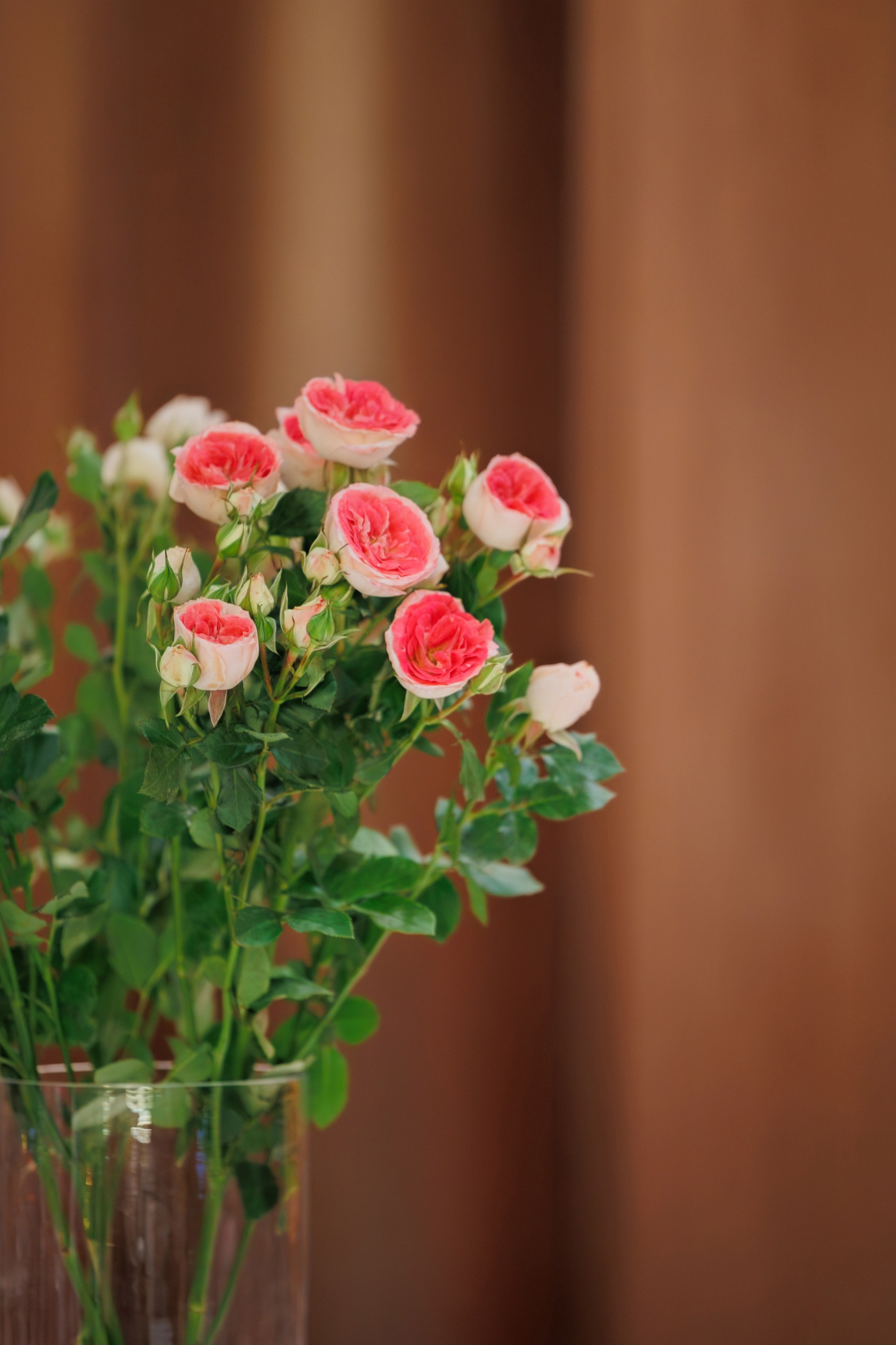 REGENT x InLove. СВОИ. ФОТООТЧЕТЫ-СОБЫТИЯ-МЕСТА