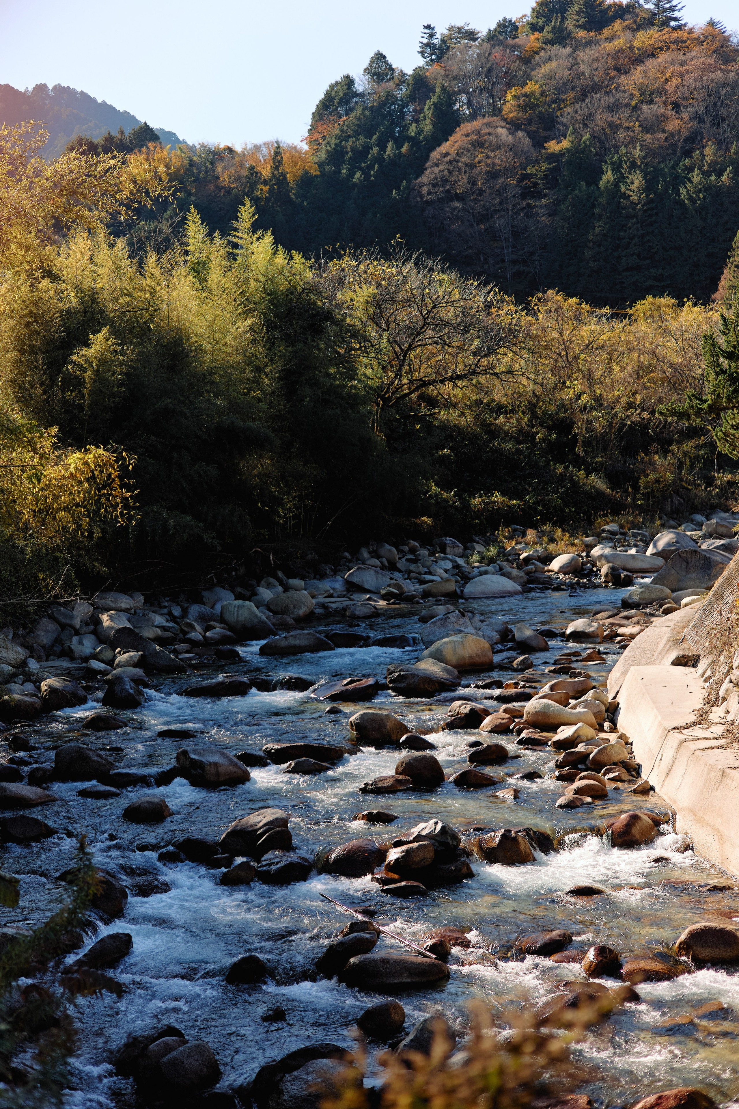 Япония. Профессиональный Фотограф во Владимире, в Москве и в Суздале — Полина Романычева