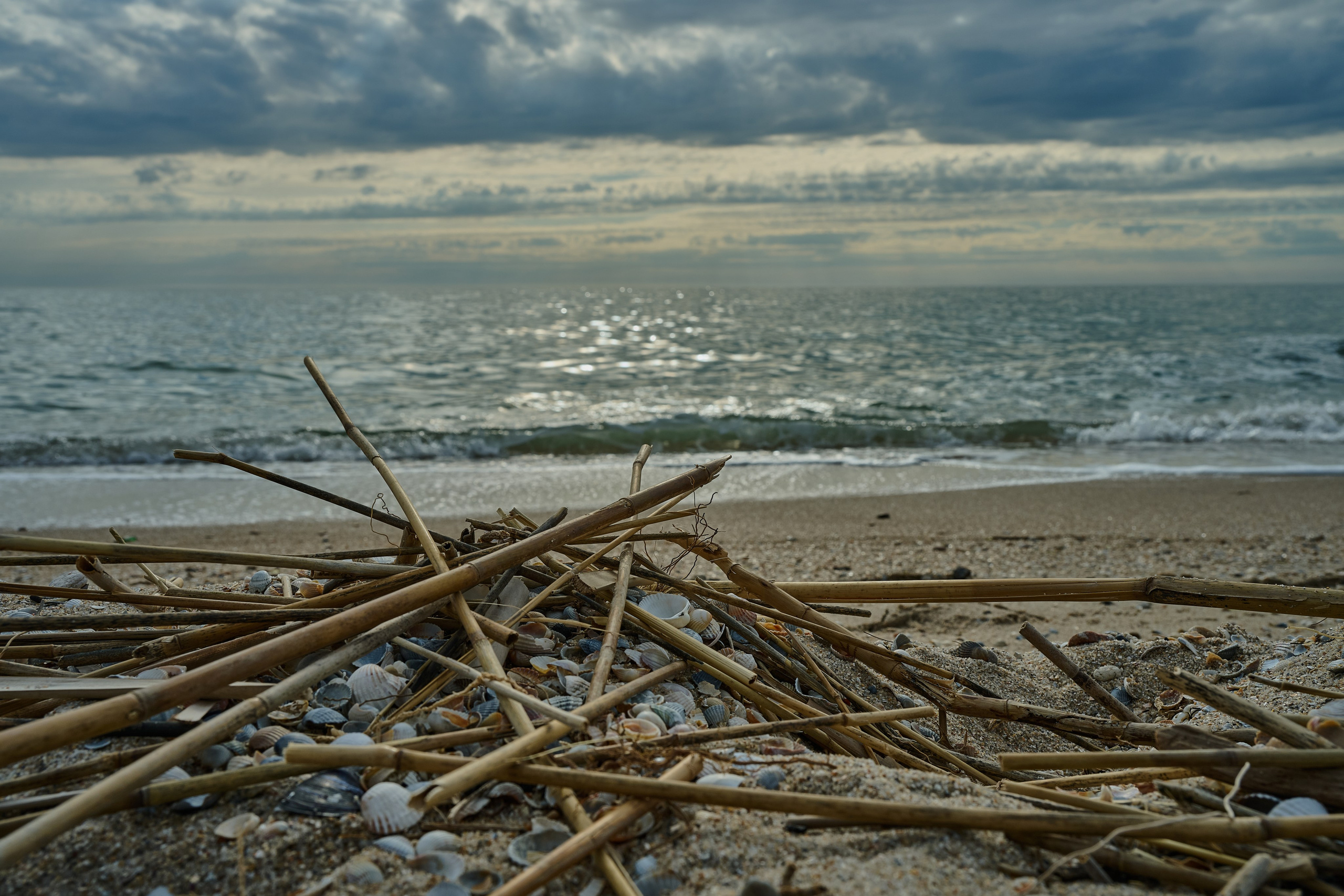 Мелитополь. Фотопроект «Территории»