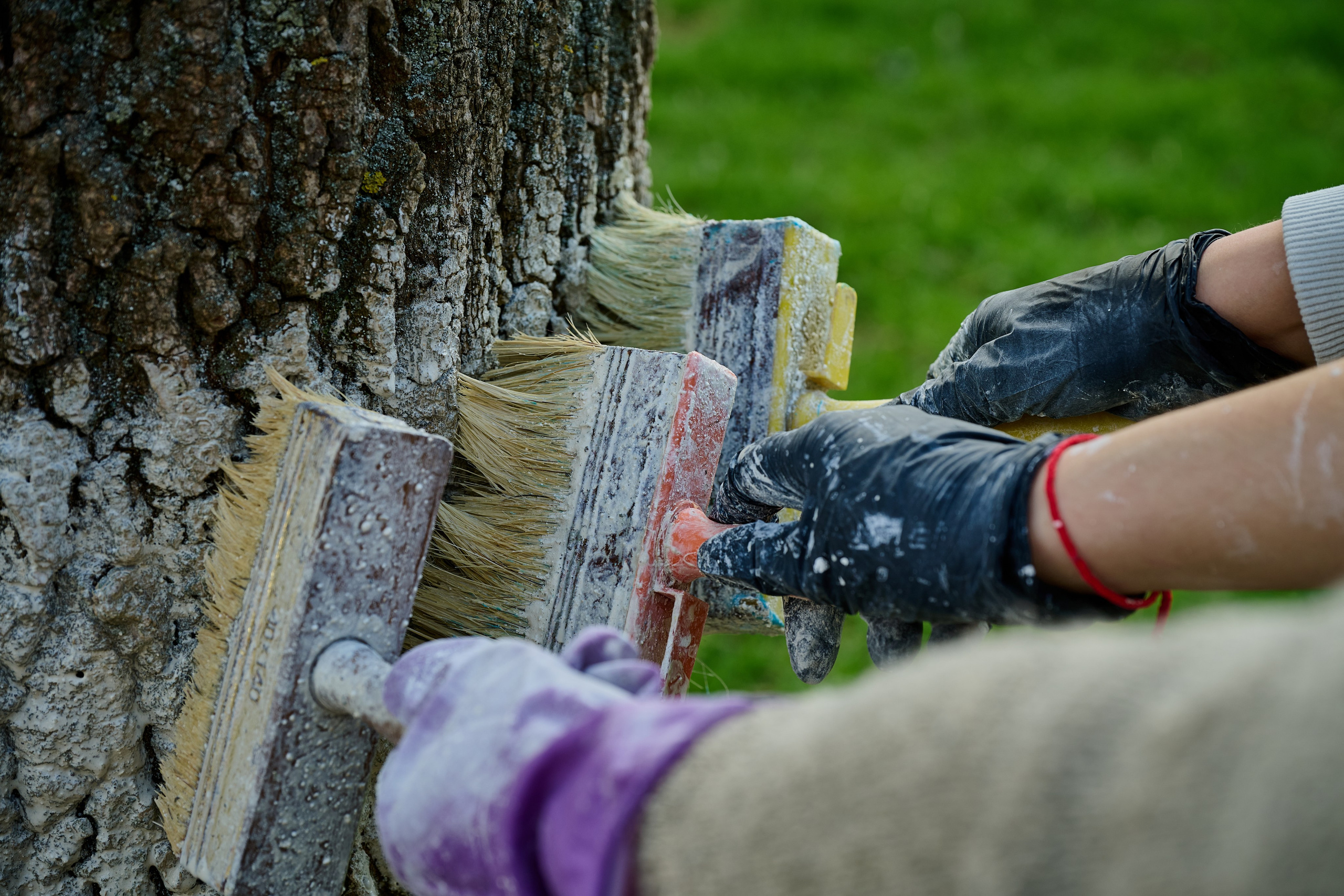 Мелитополь. Фотопроект «Территории»