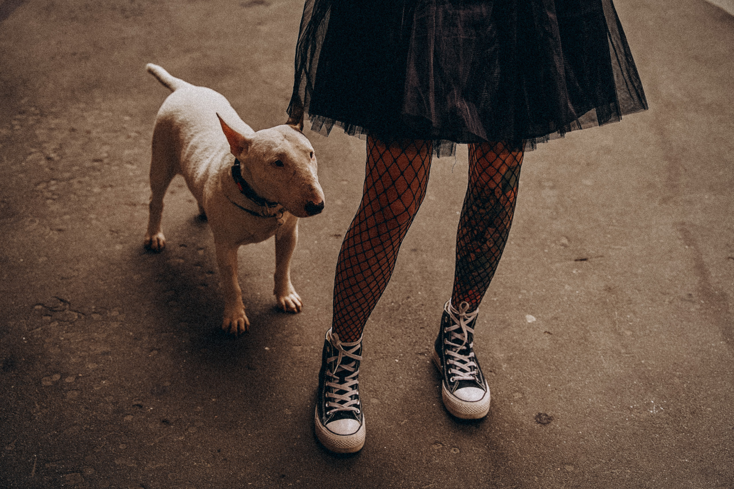 Фотопрогулка. Гасанова Любовь фотограф в Москве