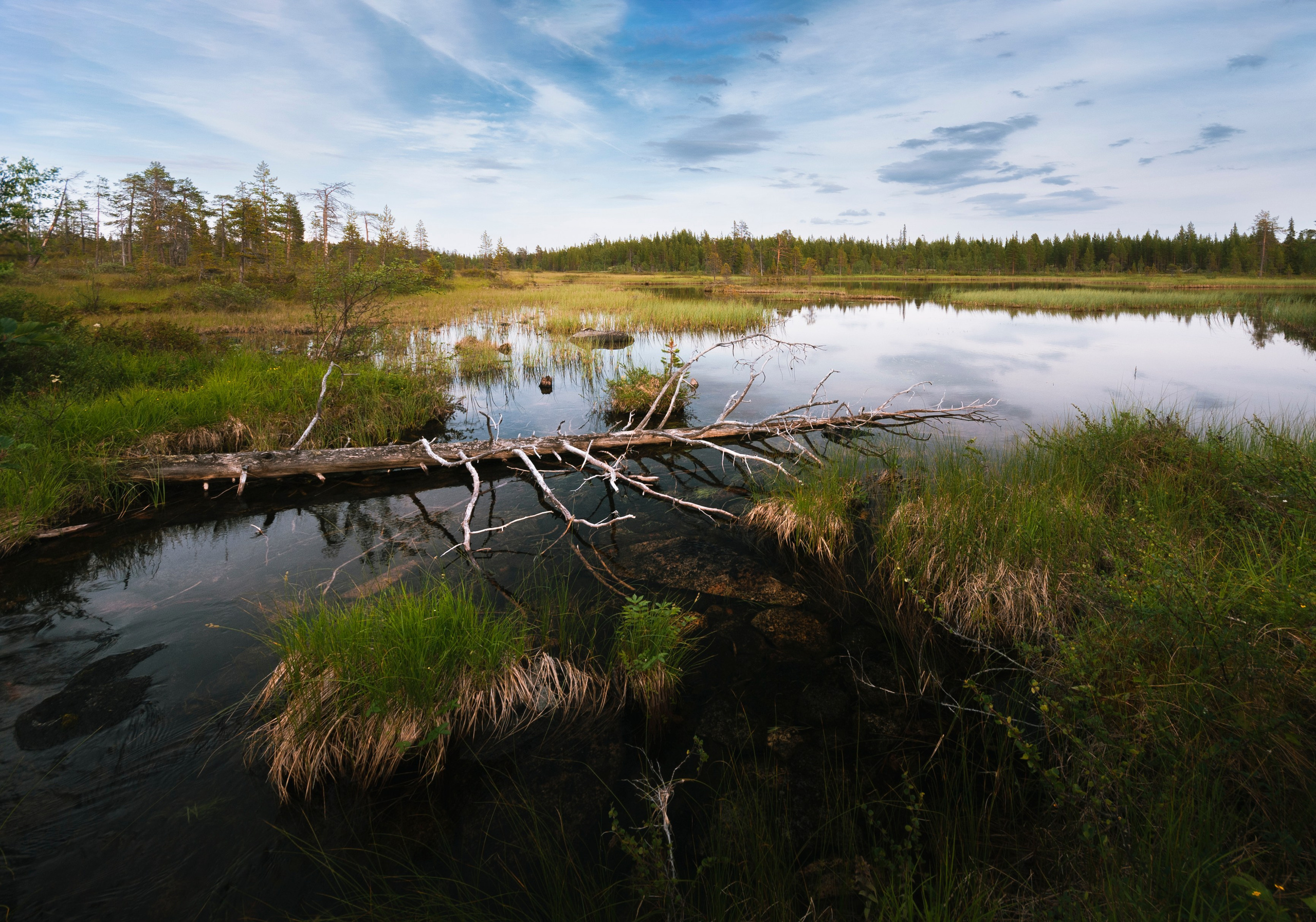ЛОВОЗЕРСКИЕ ТУНДРЫ | СЕЙДОЗЕРО. Пейзажный и тревел-фотограф Алексей Соколенко