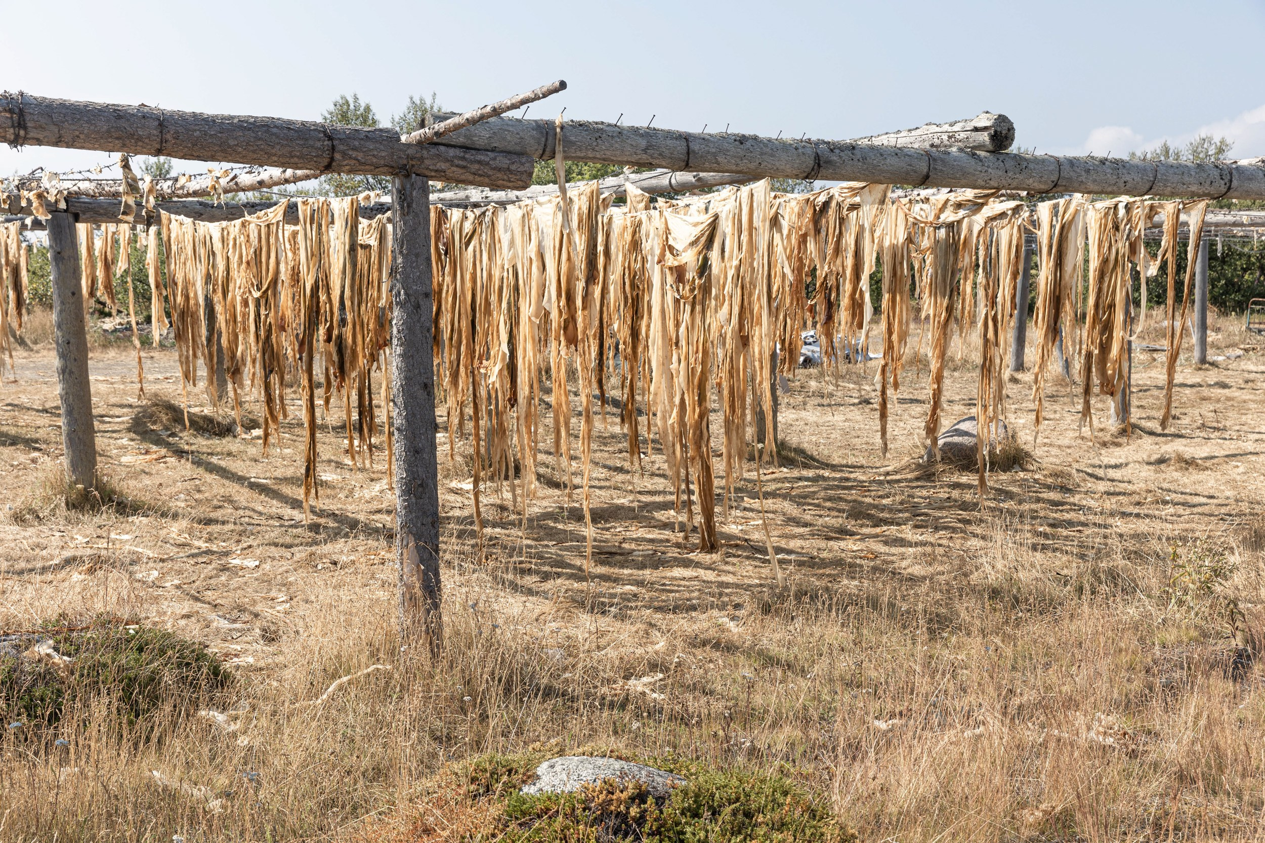 Остров на краю света. Yulia Nevskaya, documentary photographer and photojournalist