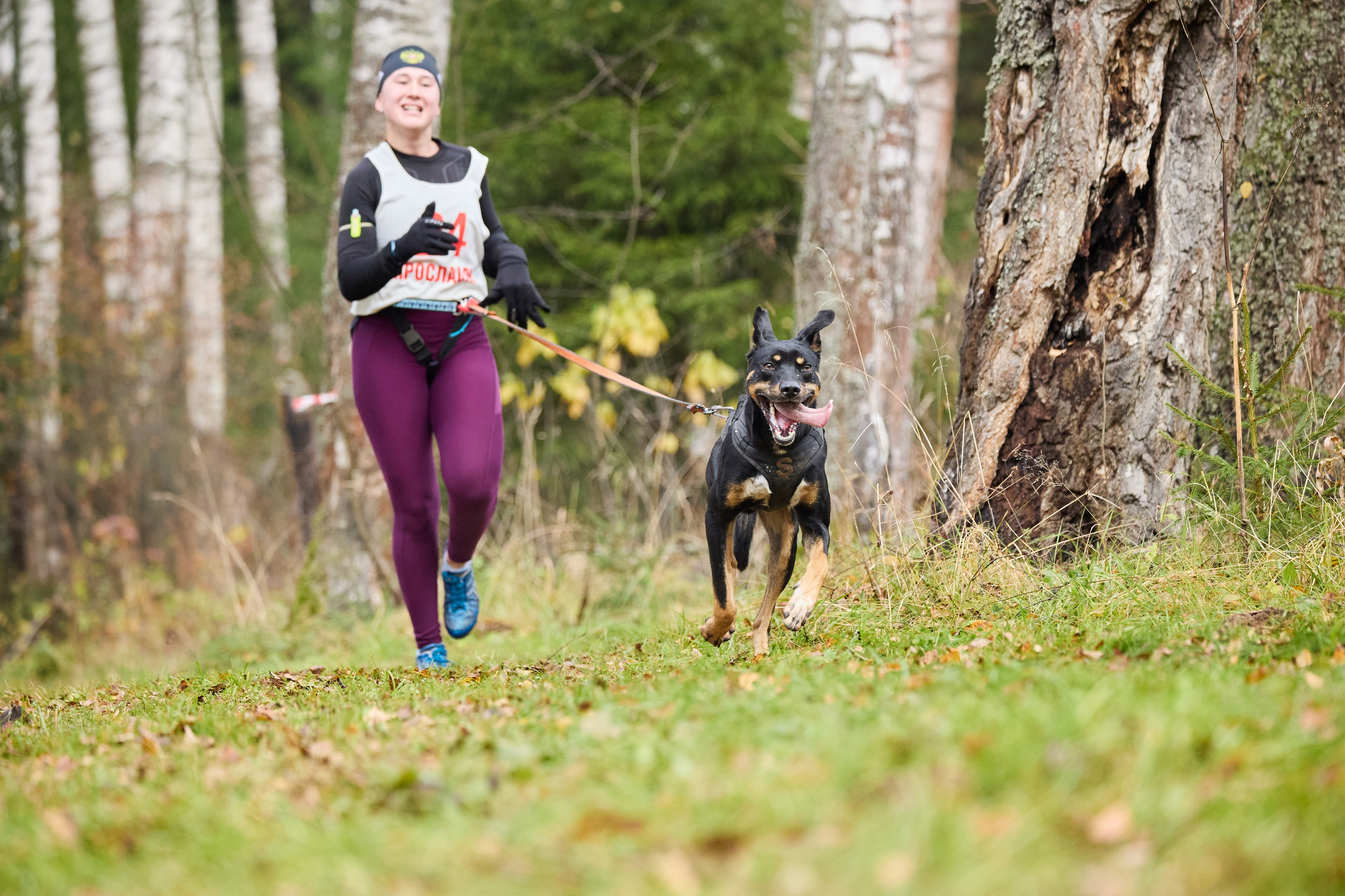 Чемпионат по ЕС Ярославской области. Фотограф Ирина Астор