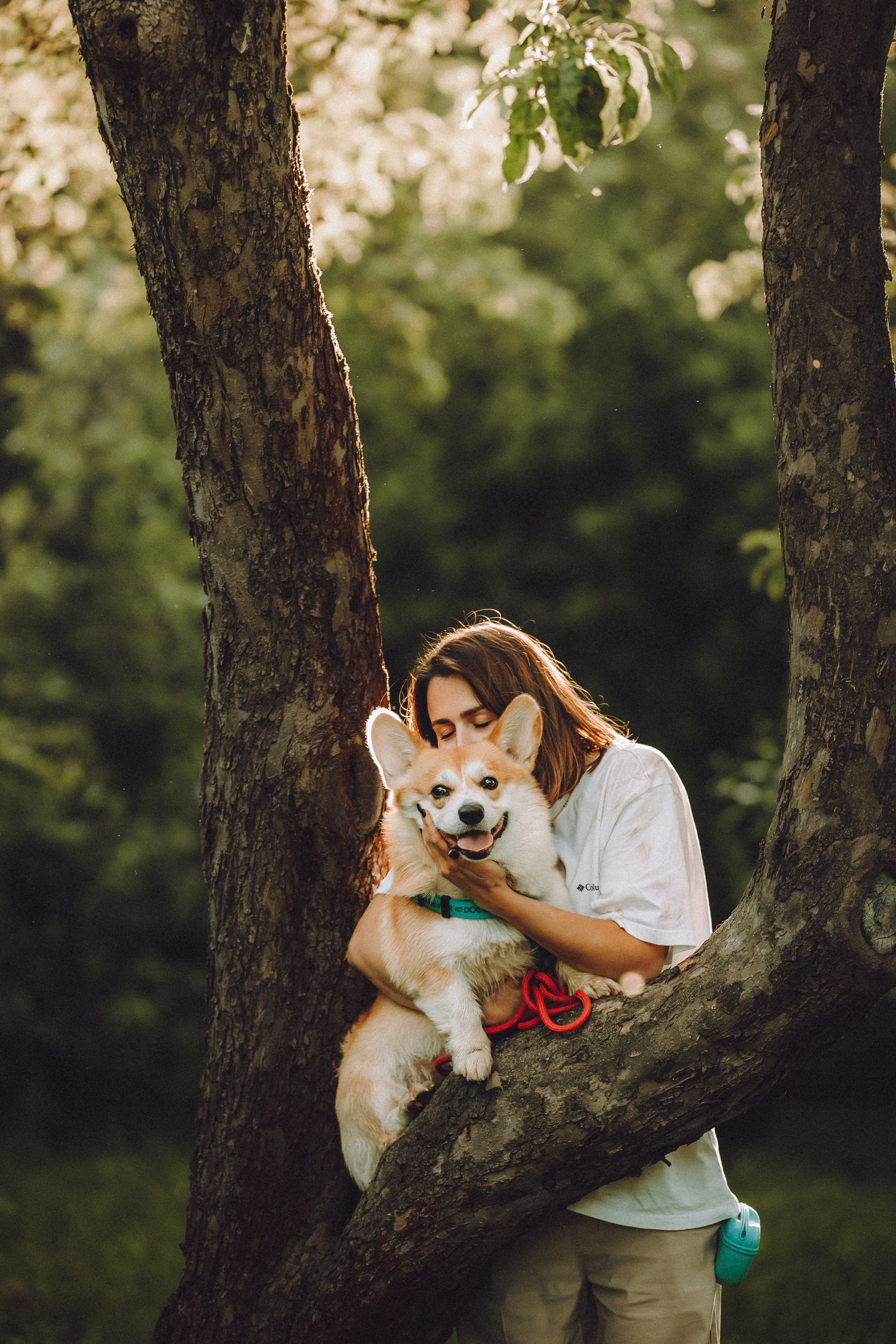 Вирджик и его семья