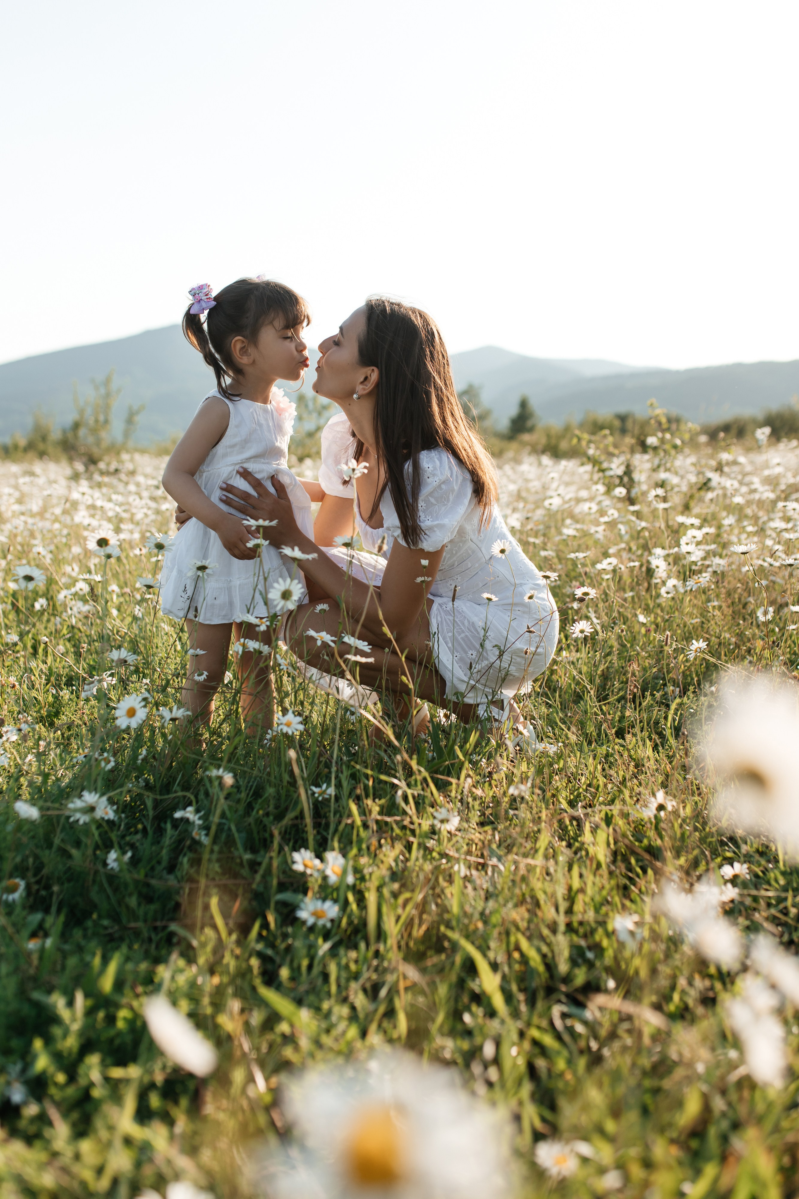 Daisies. ФОТОГРАФ