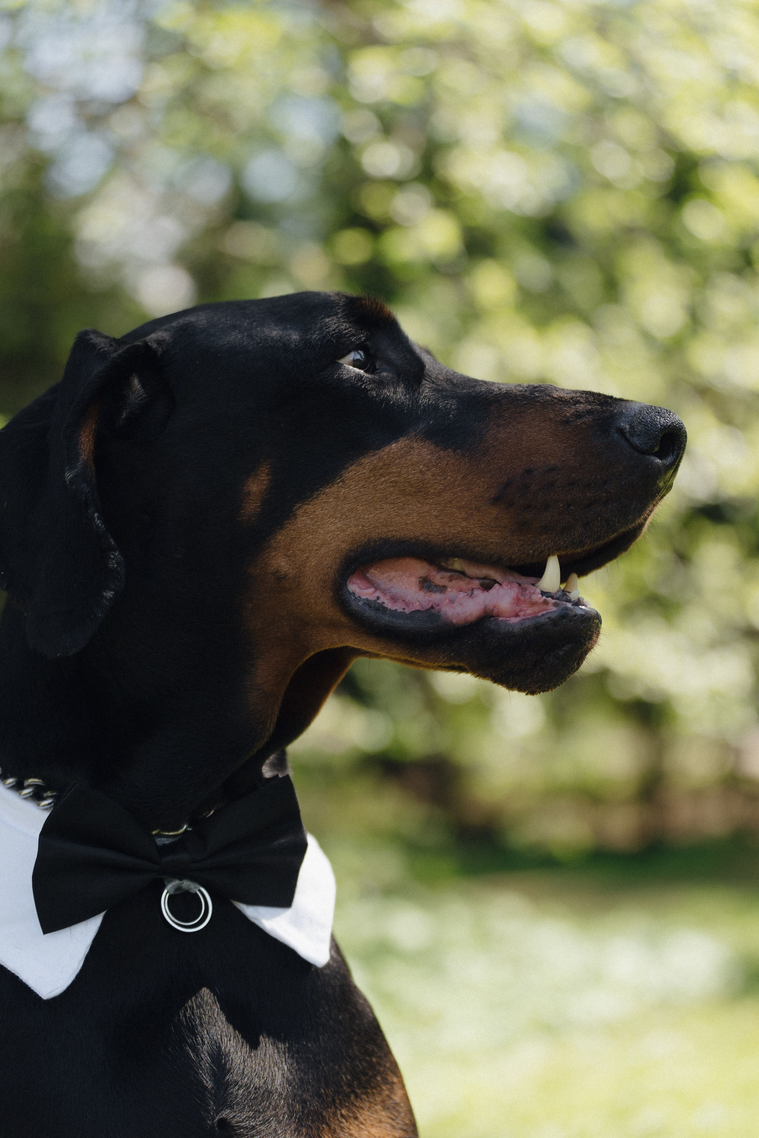 Скандинавия. Фотограф в Санкт-Петербурге Александр Дымов
