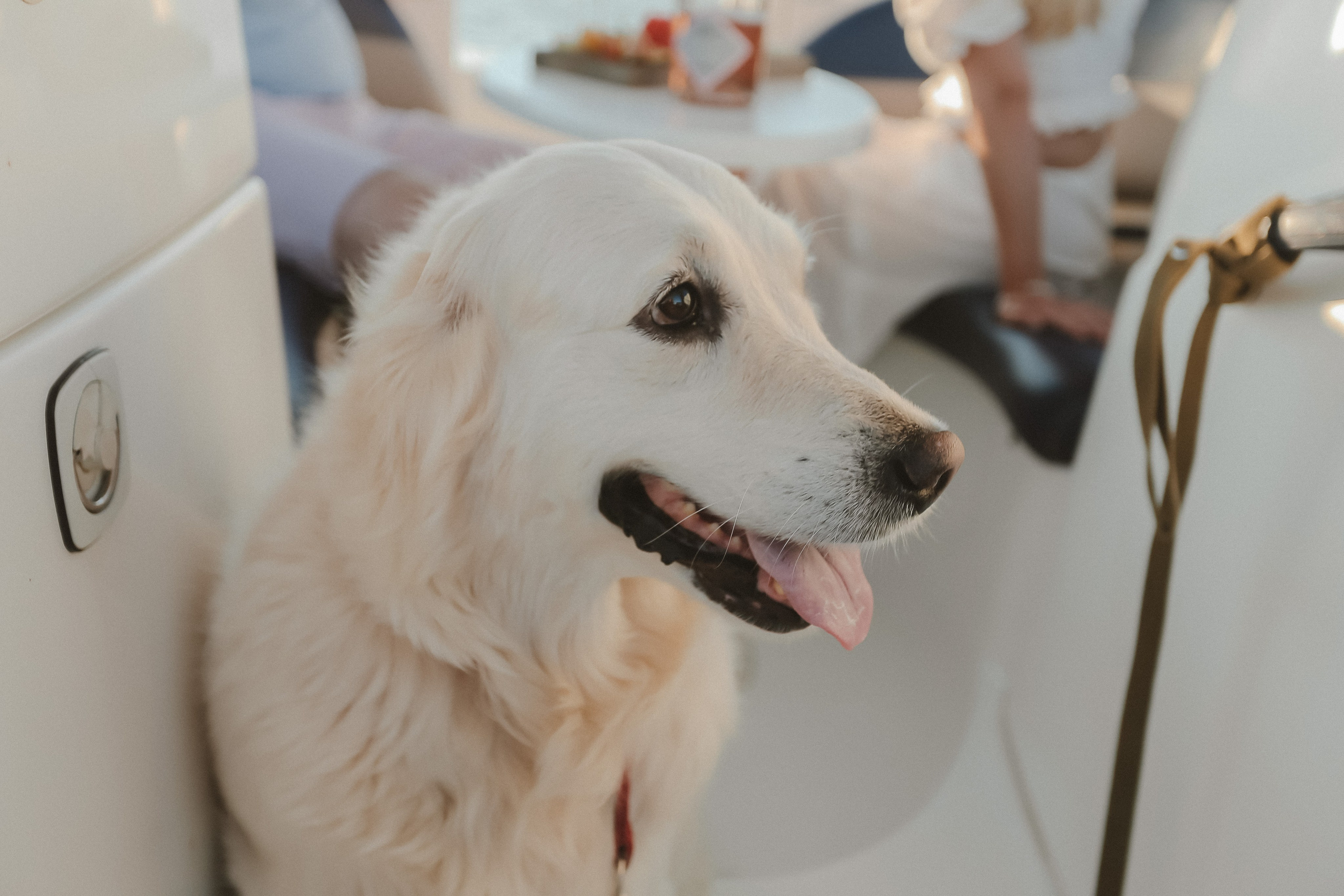 ПРЕДЛОЖЕНИЕ. Фото и Видео в Краснодаре Verveyko Studio