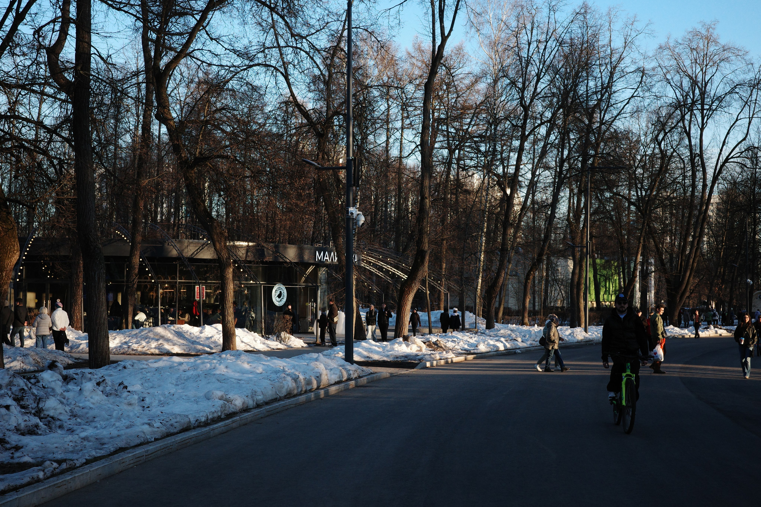 #44: Парк «Сокольники» / март 2026. Проект «Фотокладовка»: блог уличной фотографии в формате street photo