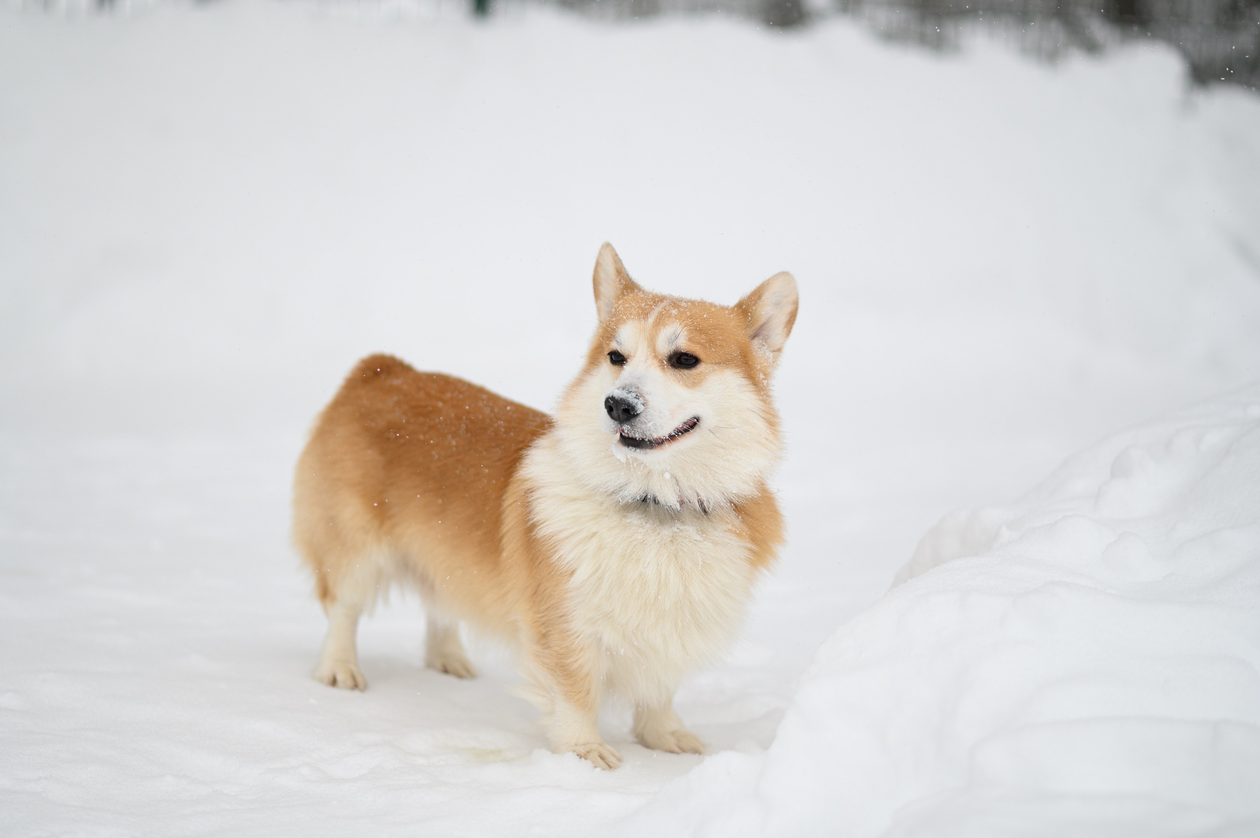 Акцент на живом. Фотограф в Москве Полина Старцева