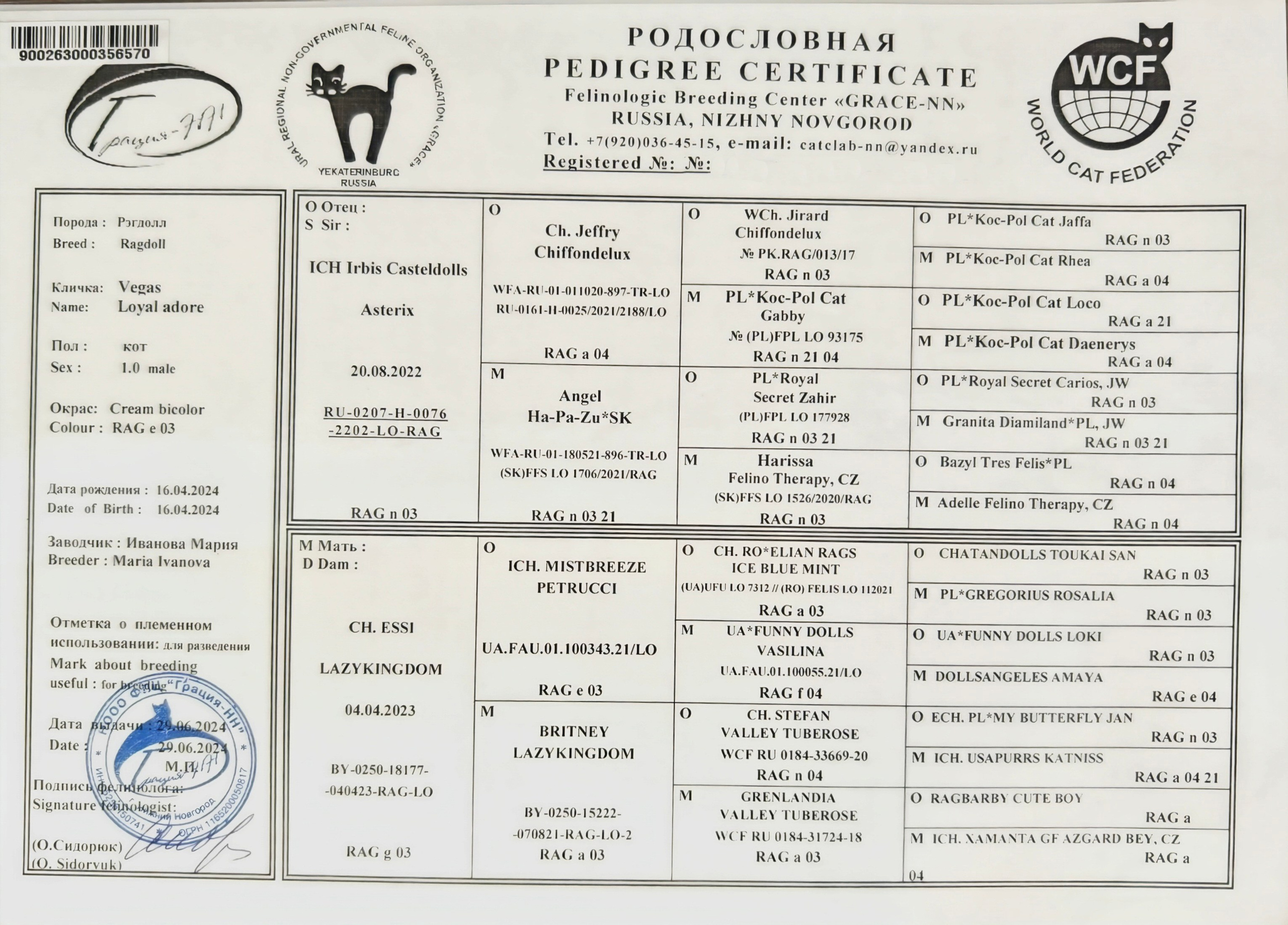 Документы производителей Loyal Adore. Питомник рэгдолл Loyal Adore