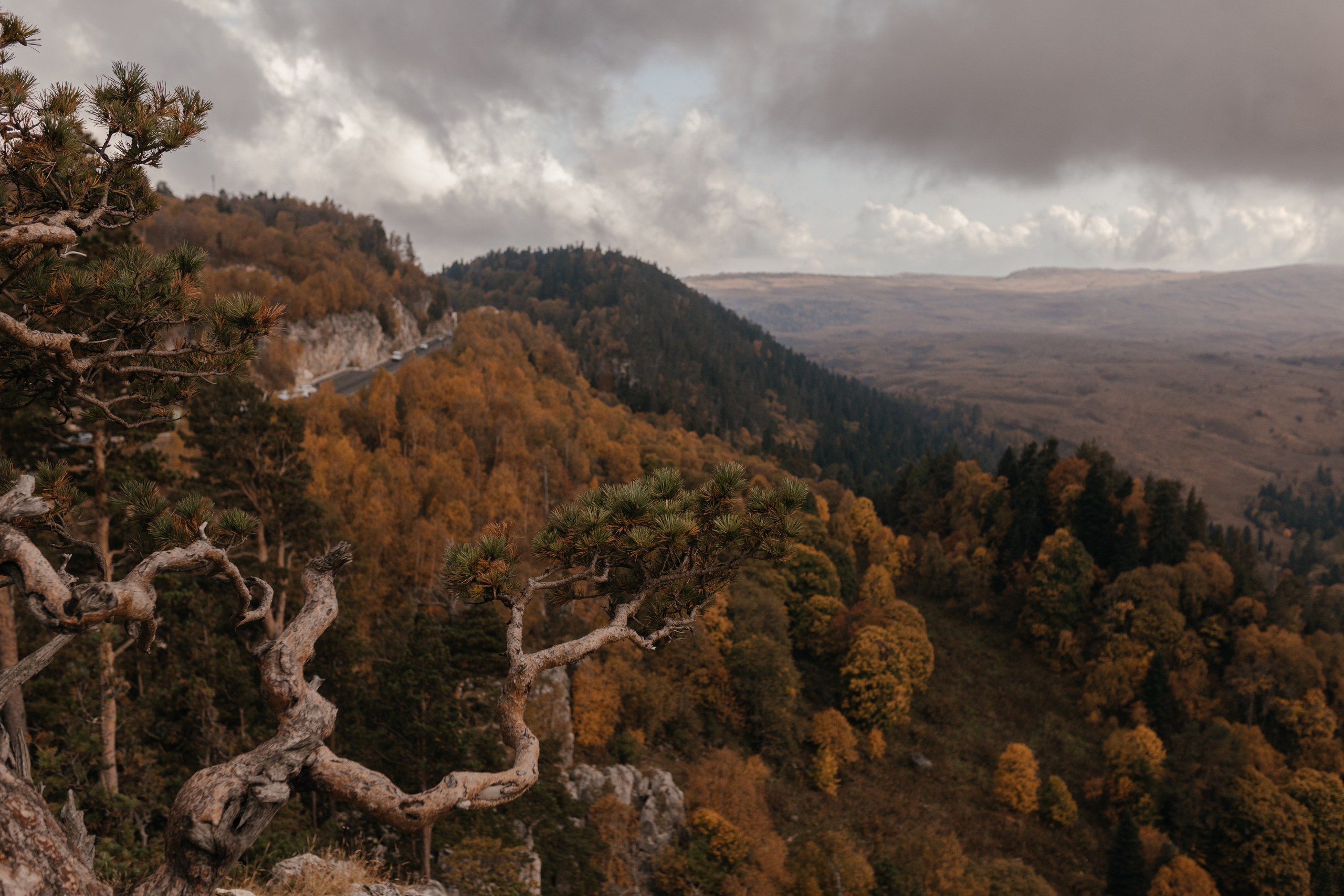 Кристина и Андрей|Wedding love story. Свадебный фотограф в Ростове-на-Дону и Азове Малявка Анастасия