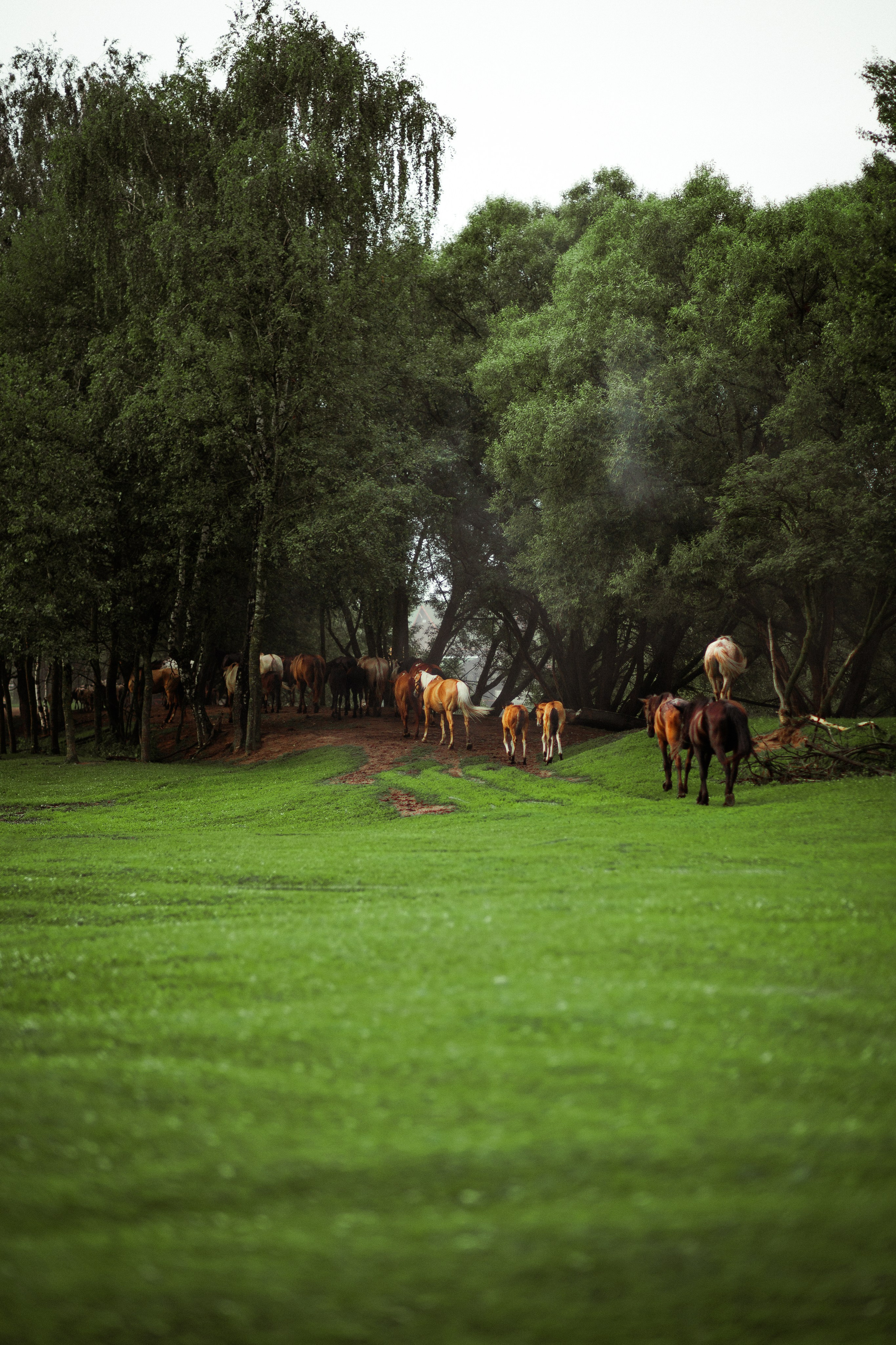 Обложка для POBEDA. Александр Атлес Фотограф