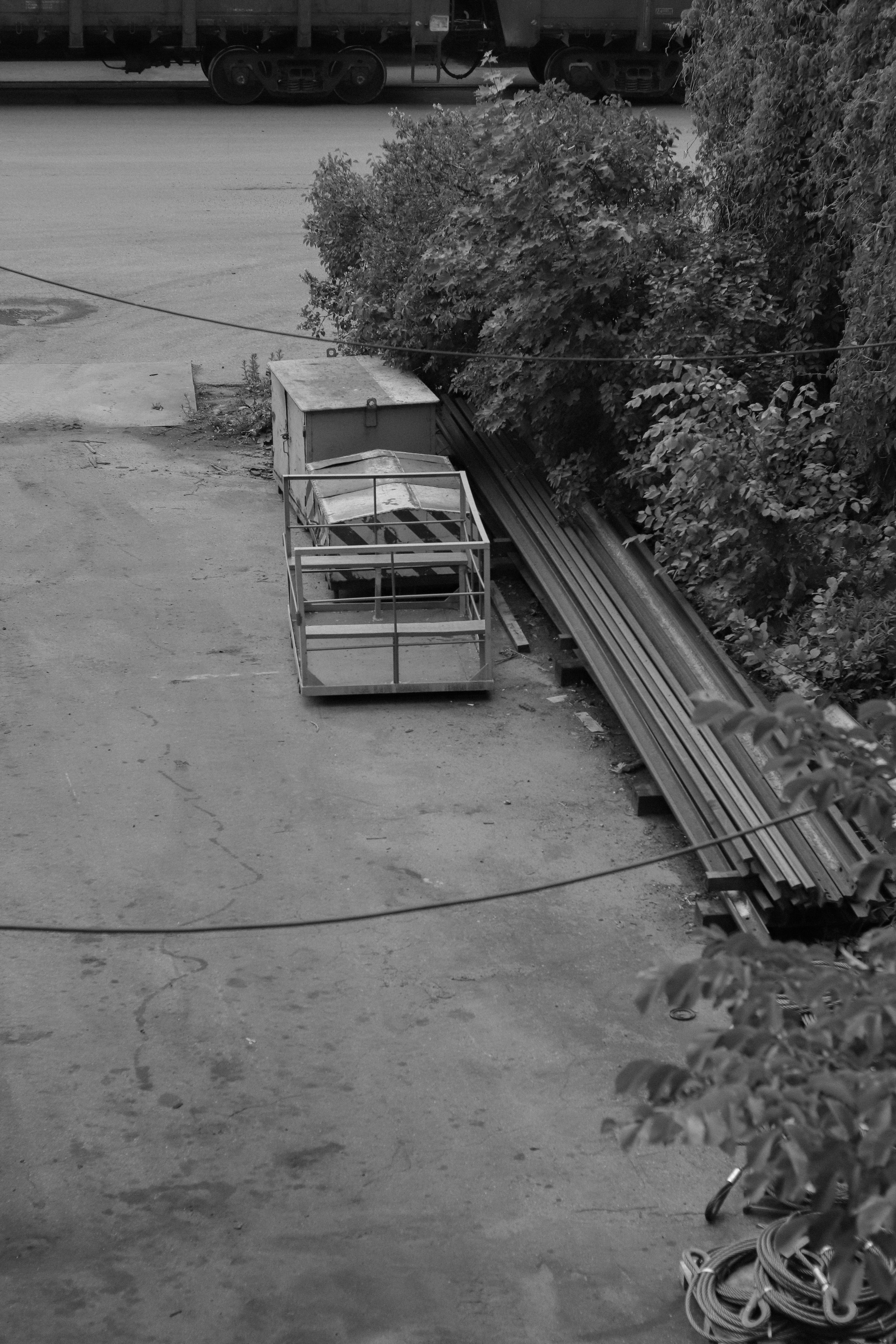 Contour. Фотограф и исследователь фотографии из Санкт-Петербурга Елизавета Веприцкая