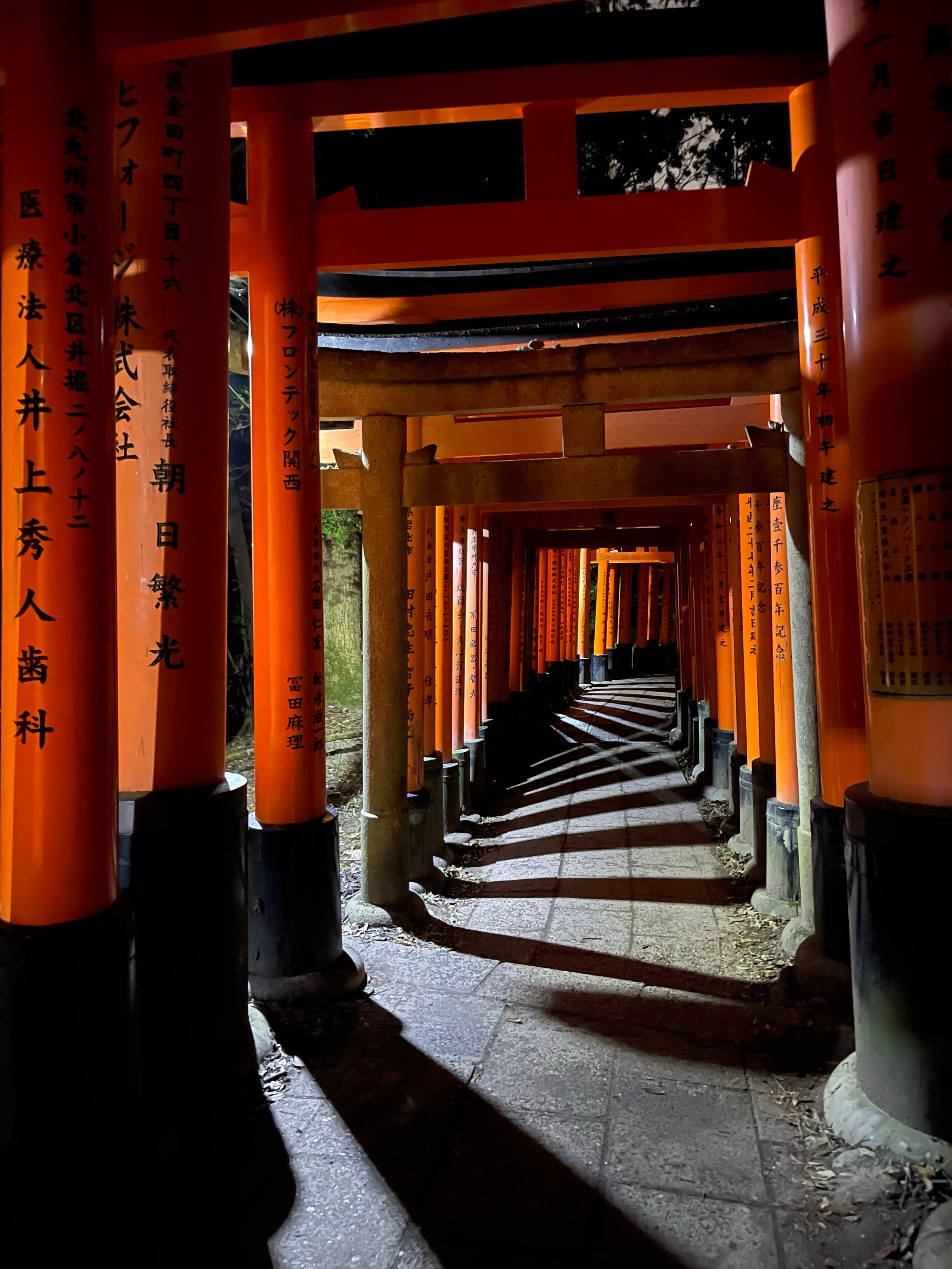 Kyoto. Фотограф Алина Диева Москва | Токио