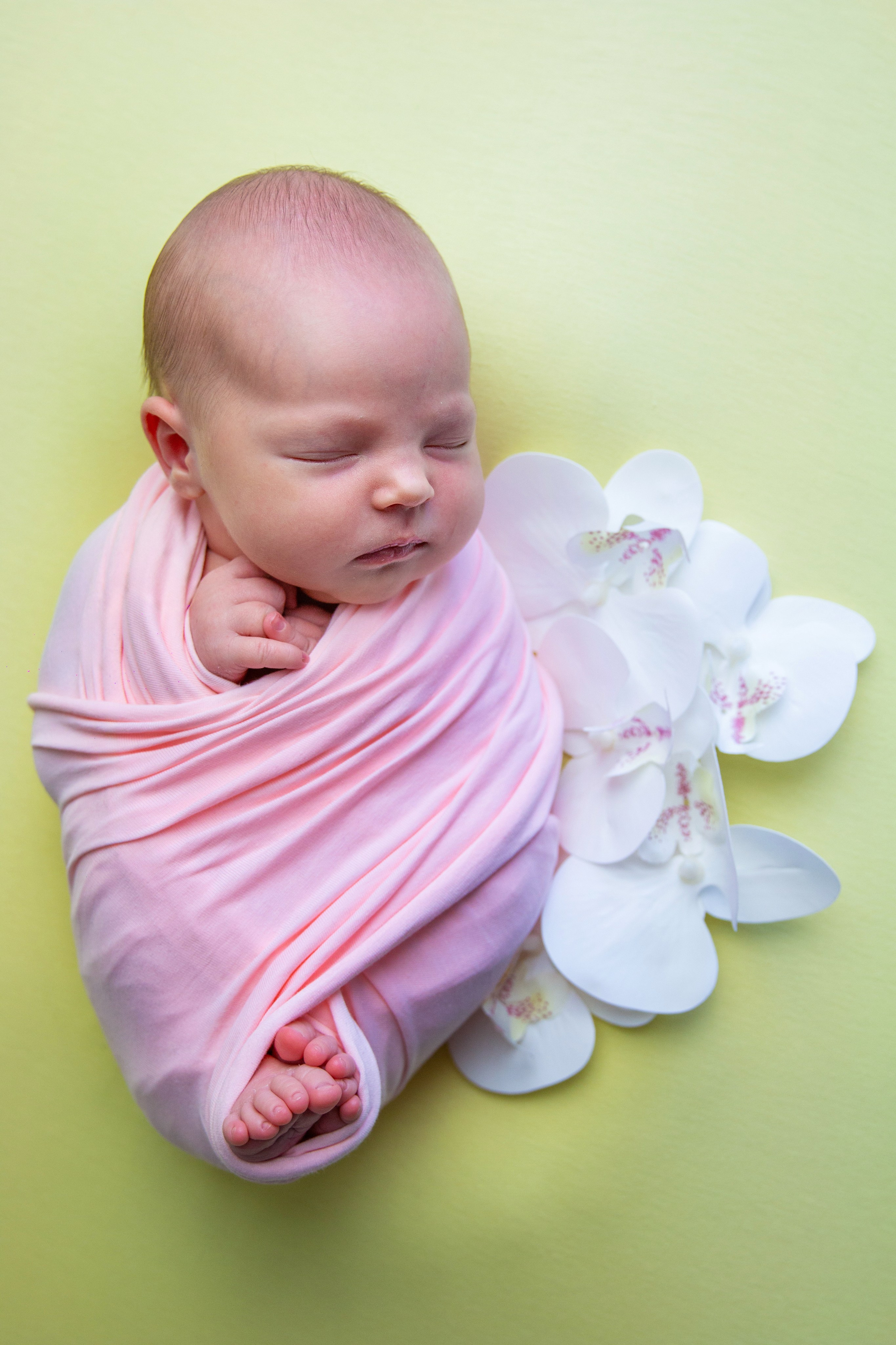 Фотограф новорожденных Жуковский Раменское