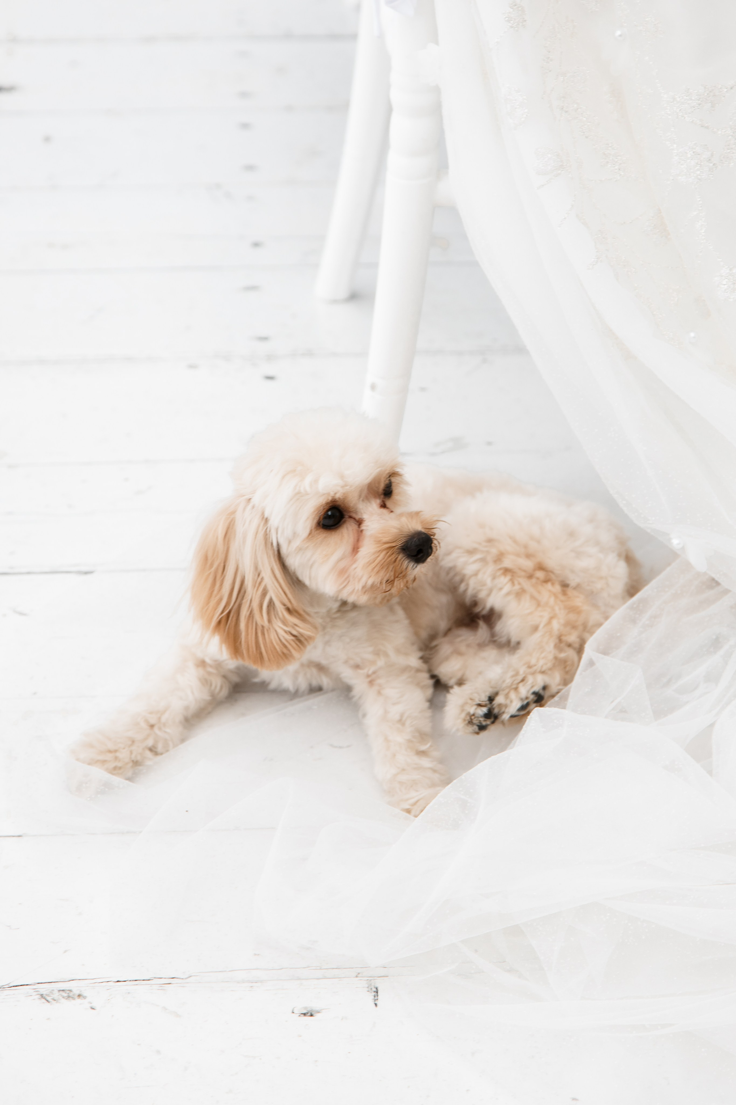 Alëna&Sergei. Свадебный и семейный фотограф Екатеринбург Настя Саедгалина