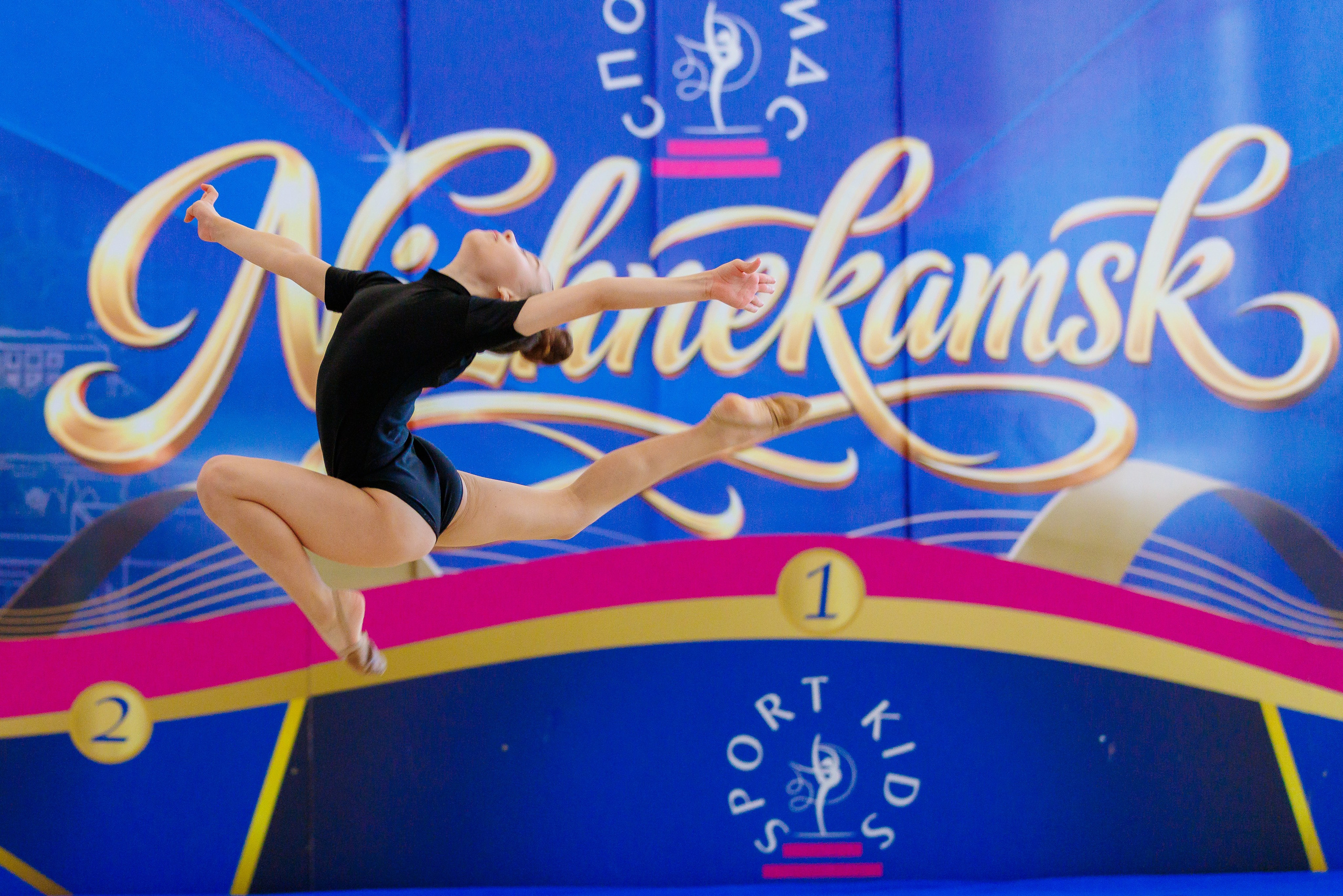 Художественная гимнастика