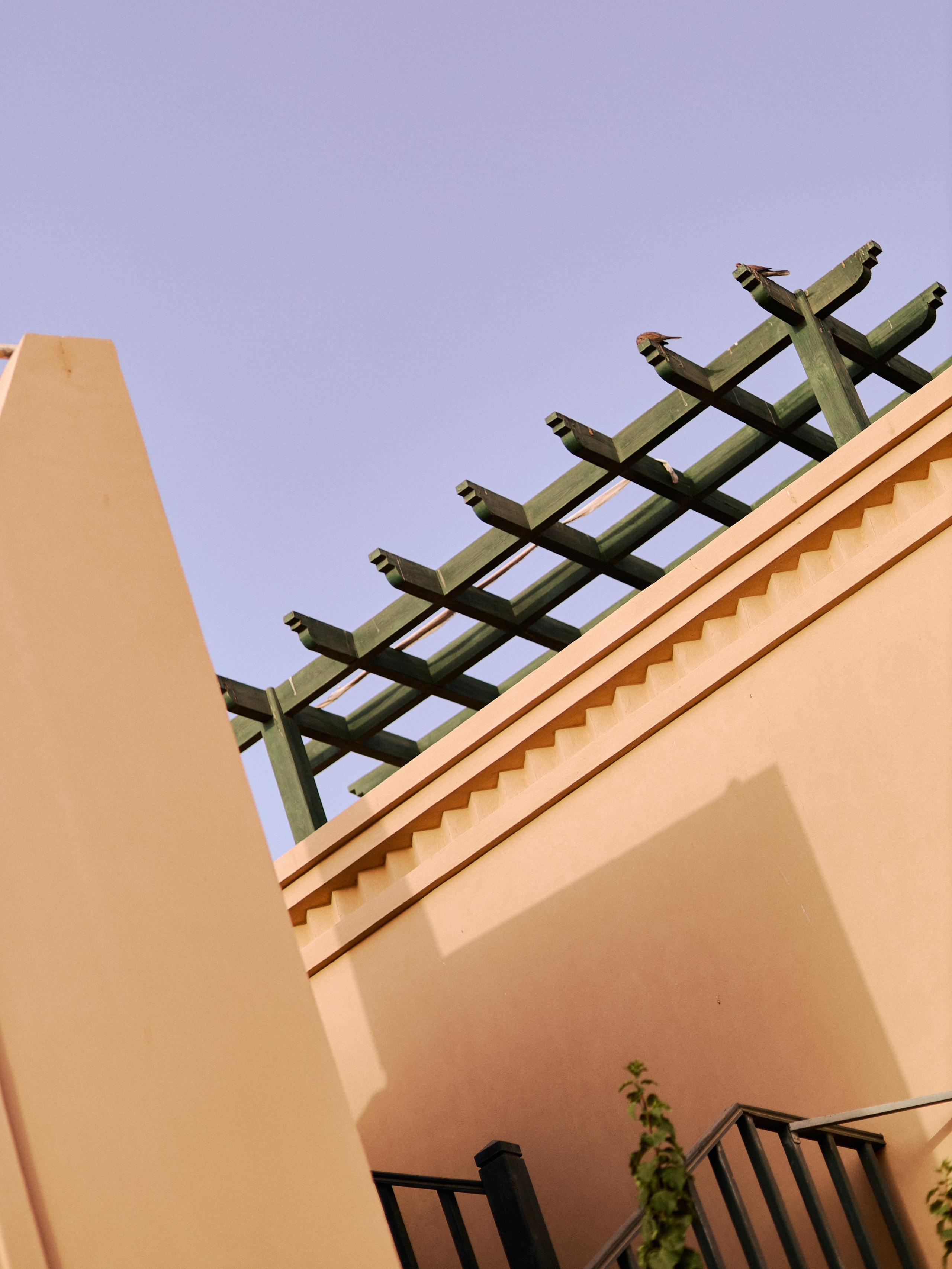 Другое 3. Jorgis Talè — photographer, kind person, teacher of arts and other mag