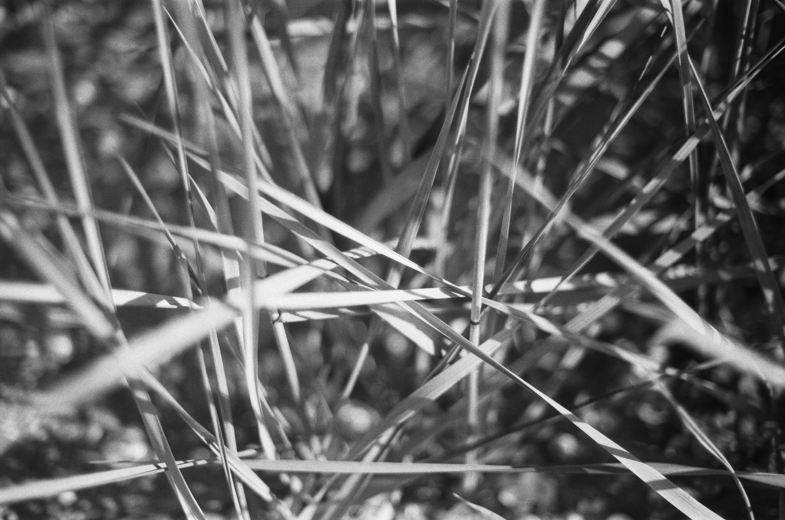 Move me // ukraine, crimea IV. EVER EXPOSED