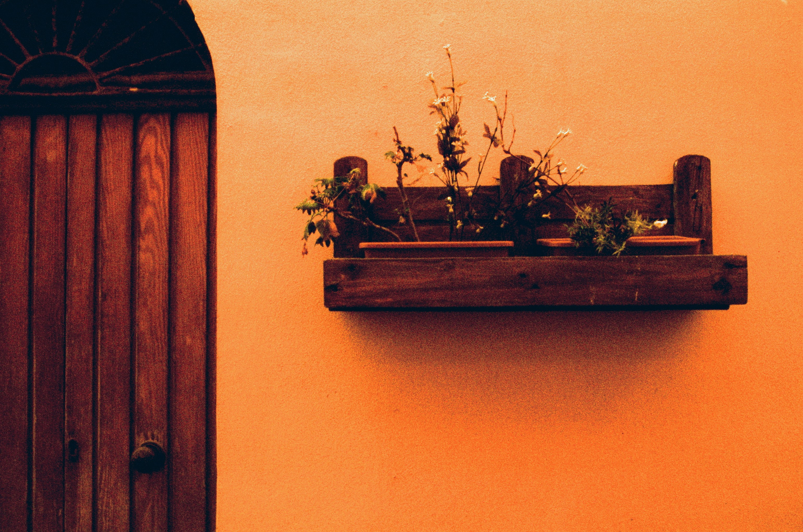 Moriro da re // sardinia, alghero II. EVER EXPOSED