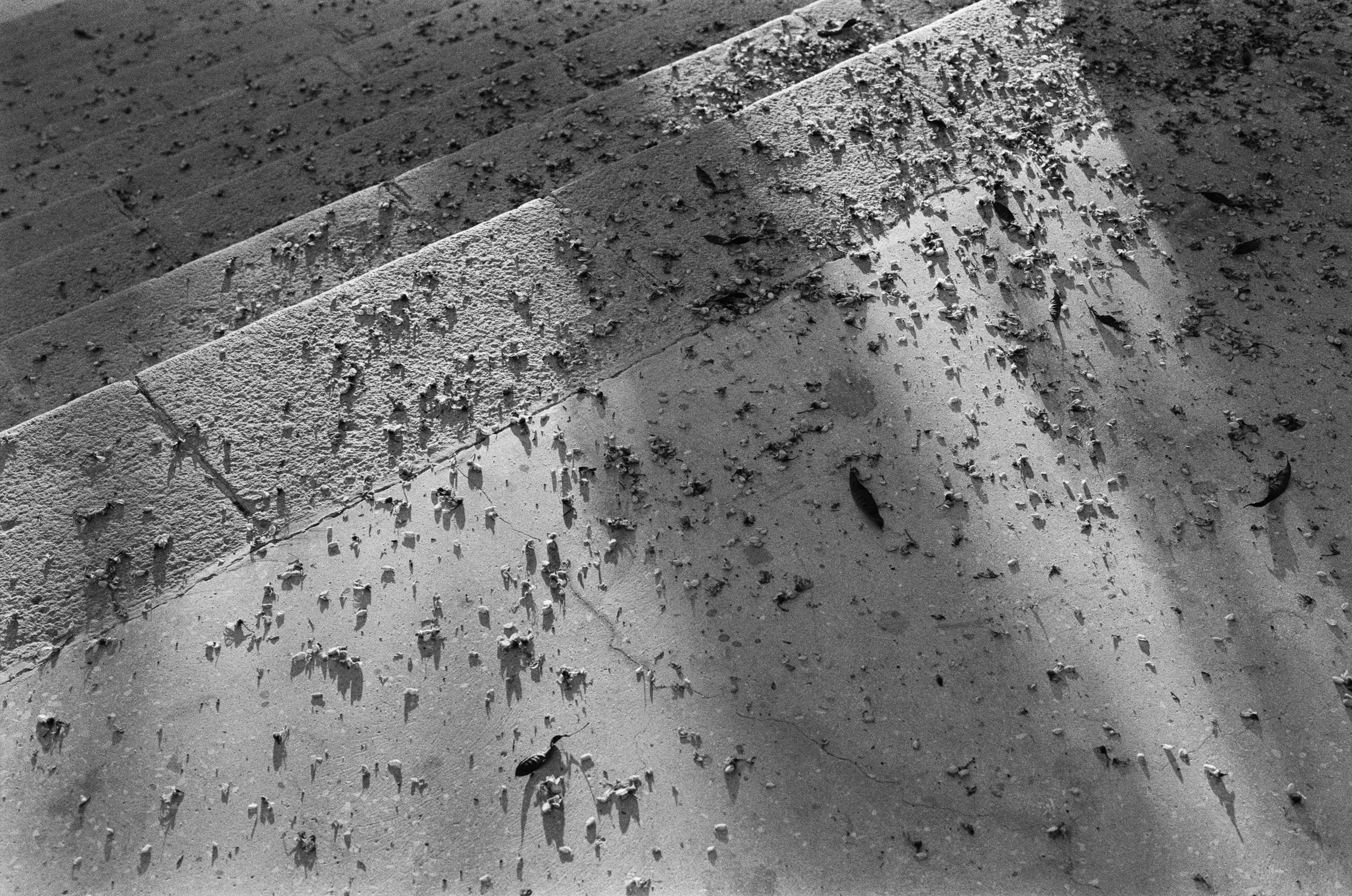 Oblomki chuvstv // ukraine, crimea V. EVER EXPOSED