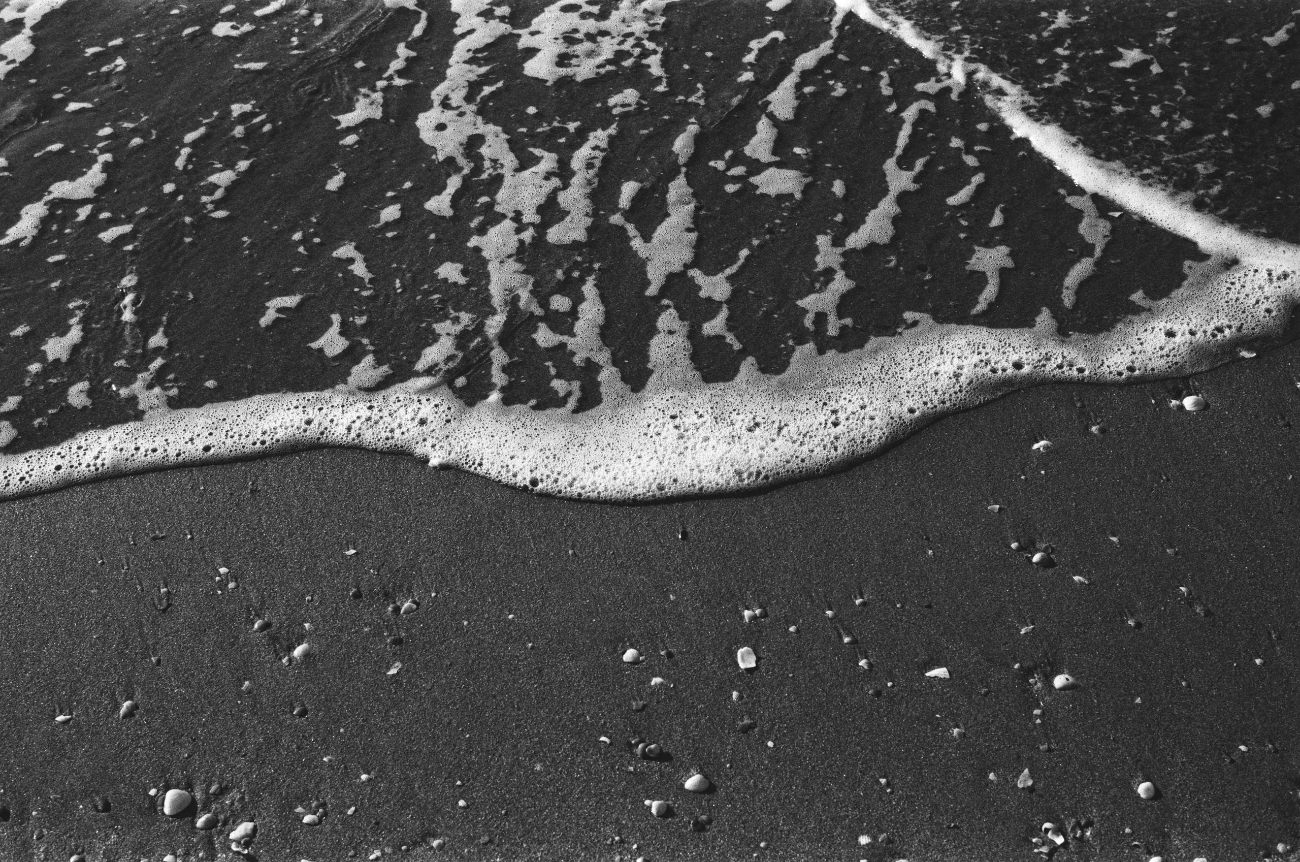 Move me // ukraine, crimea III. EVER EXPOSED