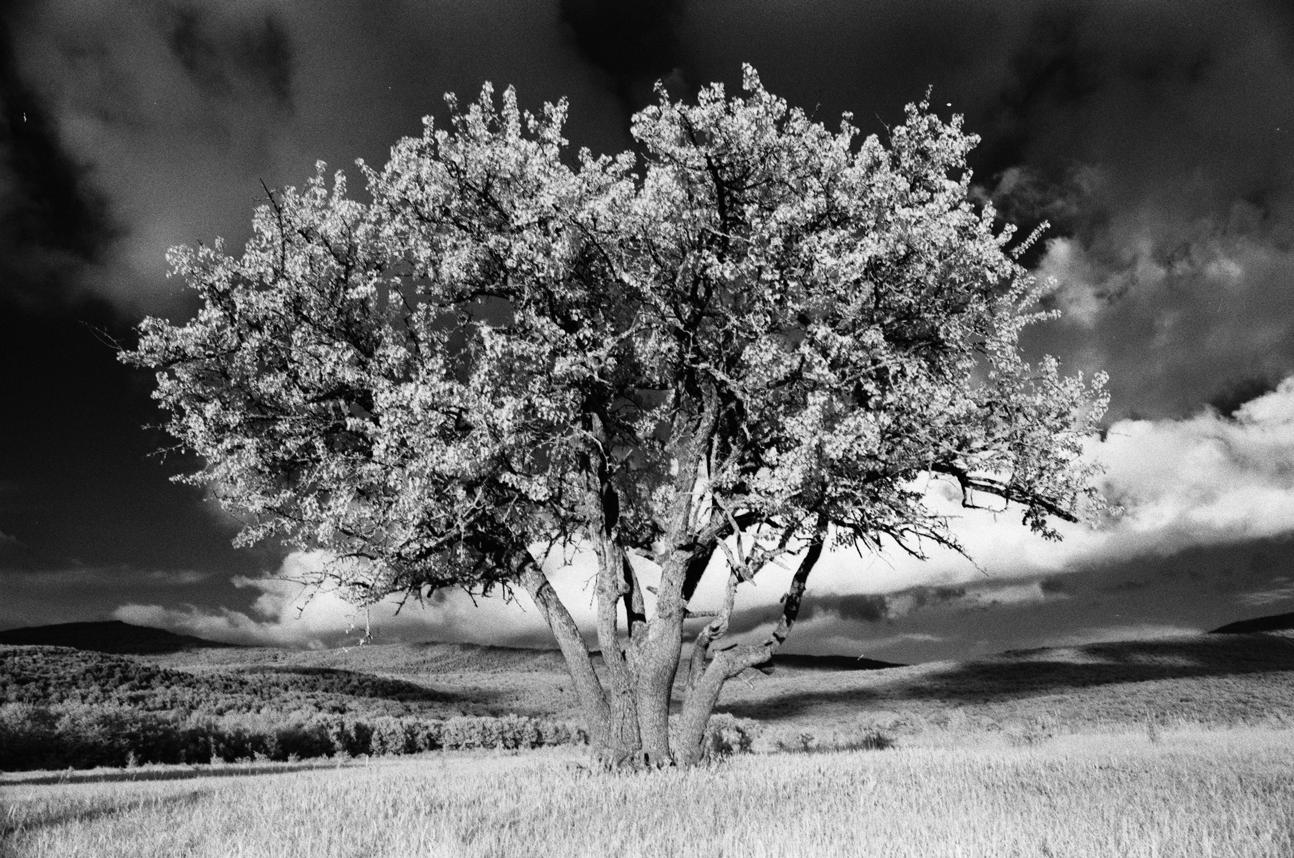 Point of no reply // ukraine, crimea IX. EVER EXPOSED