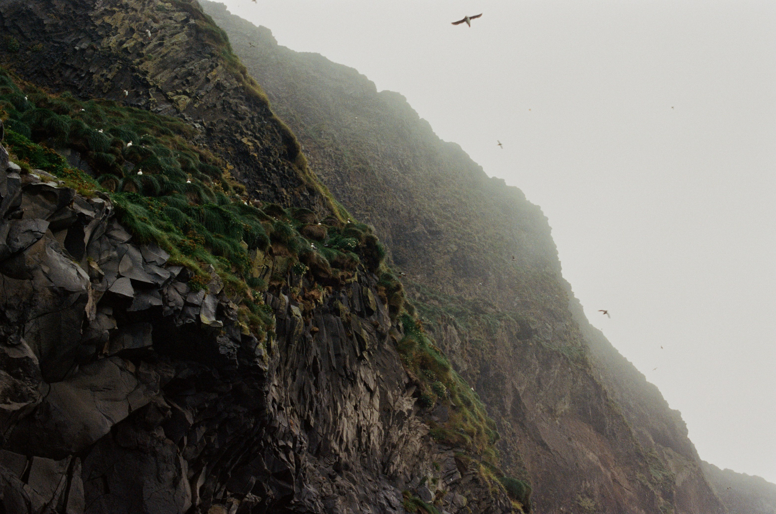 Human // iceland, reynisfjara. EVER EXPOSED