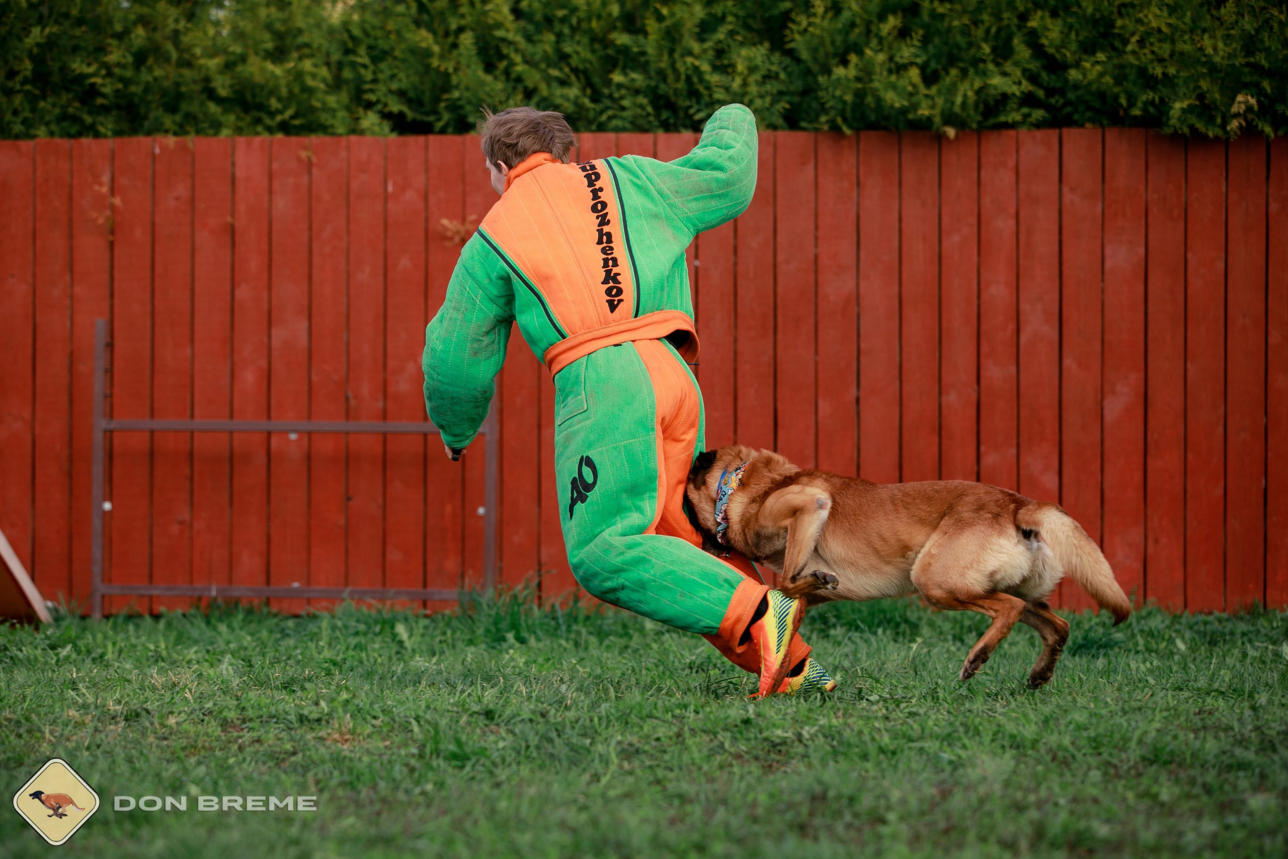 Семинар для фигурантов, день 2. Фотограф-анималист Mary Mart — Москва, Питер