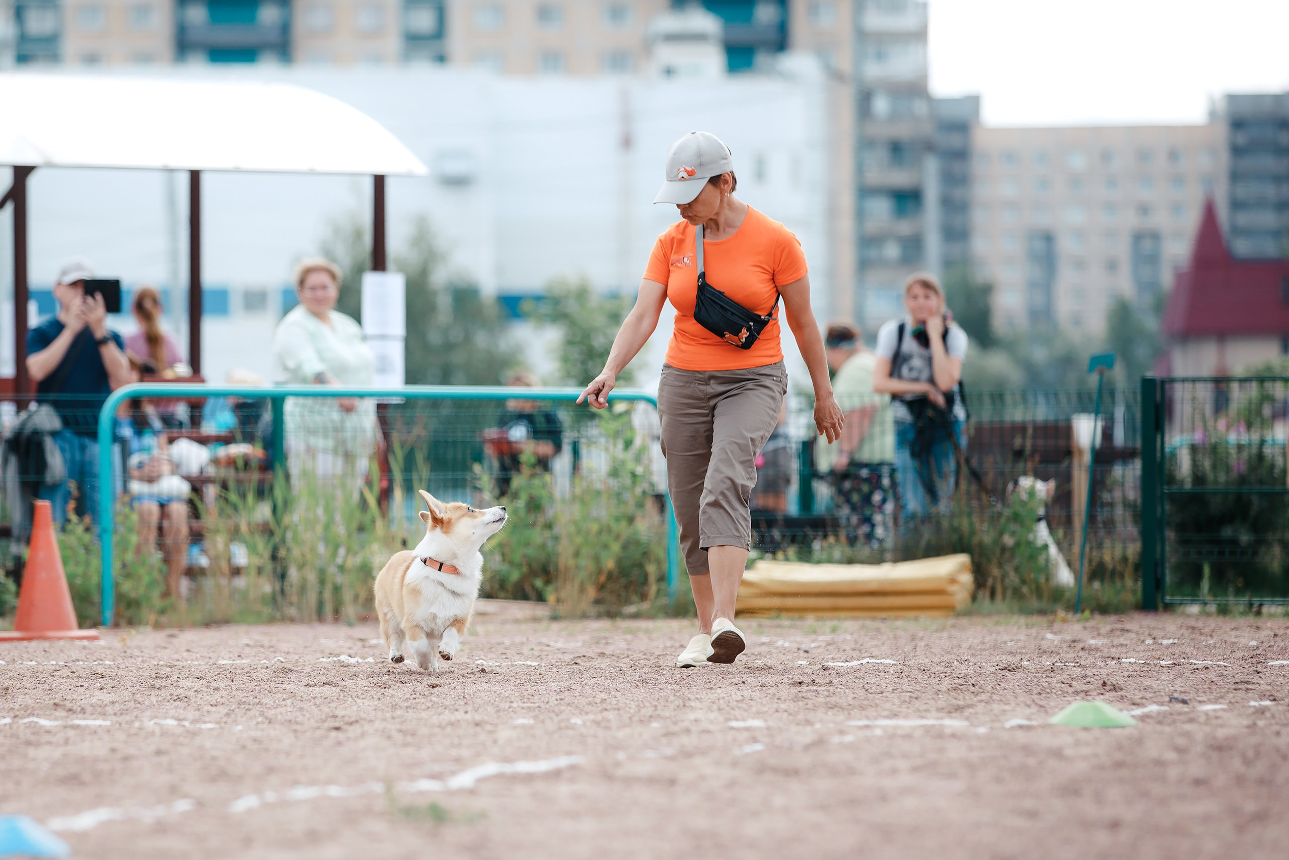 Питч&Гоу + веселые старты. Фотограф-анималист Mary Mart — Москва, Питер