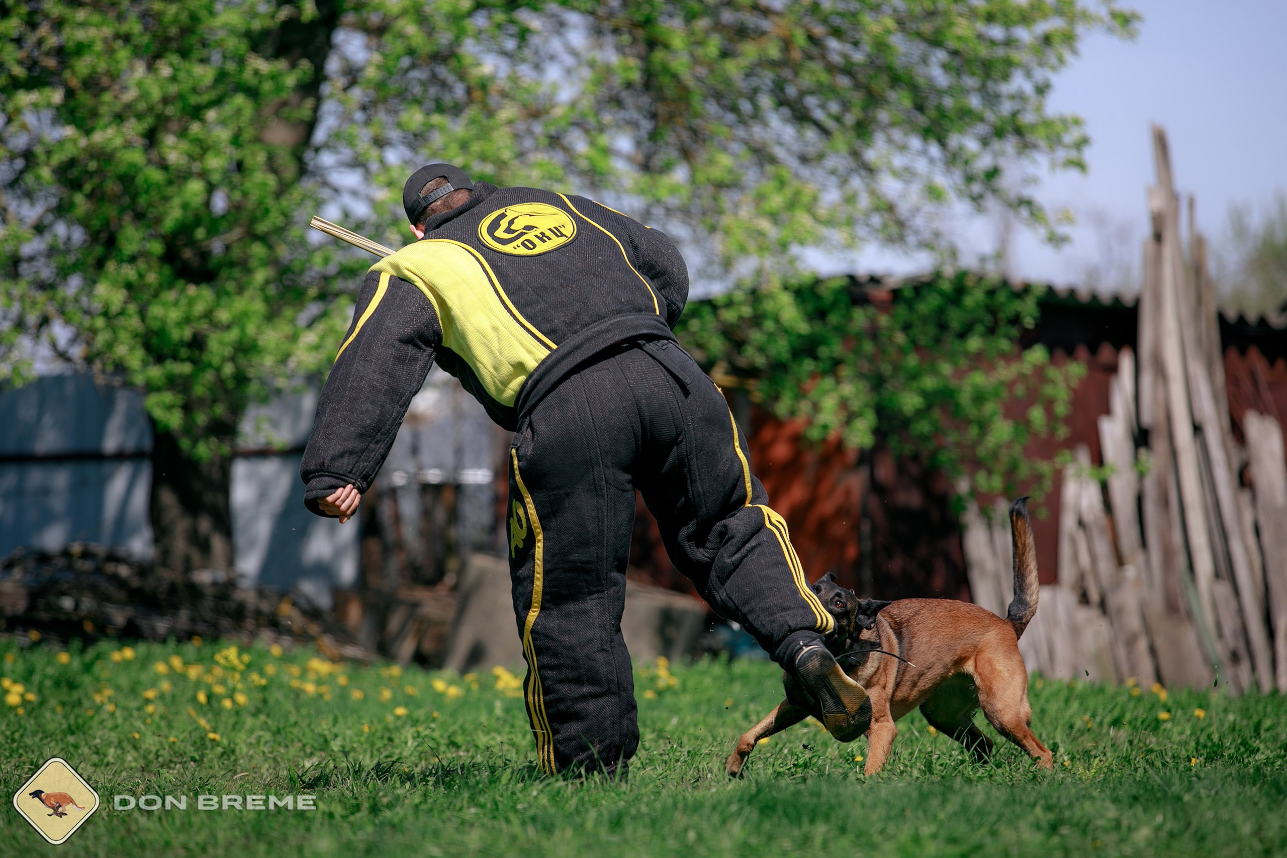 Семинар для фигурантов, день 4. Фотограф-анималист Mary Mart — Москва, Питер