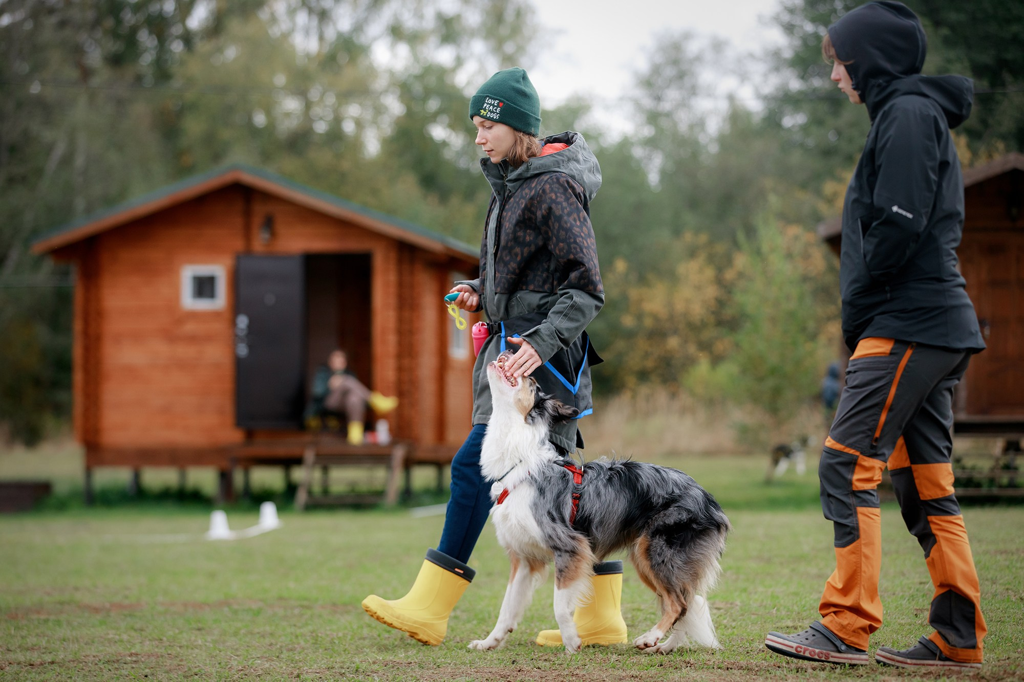 Лагерь по ОБД с Инной Баженовой. Фотограф-анималист Mary Mart — Москва, Питер