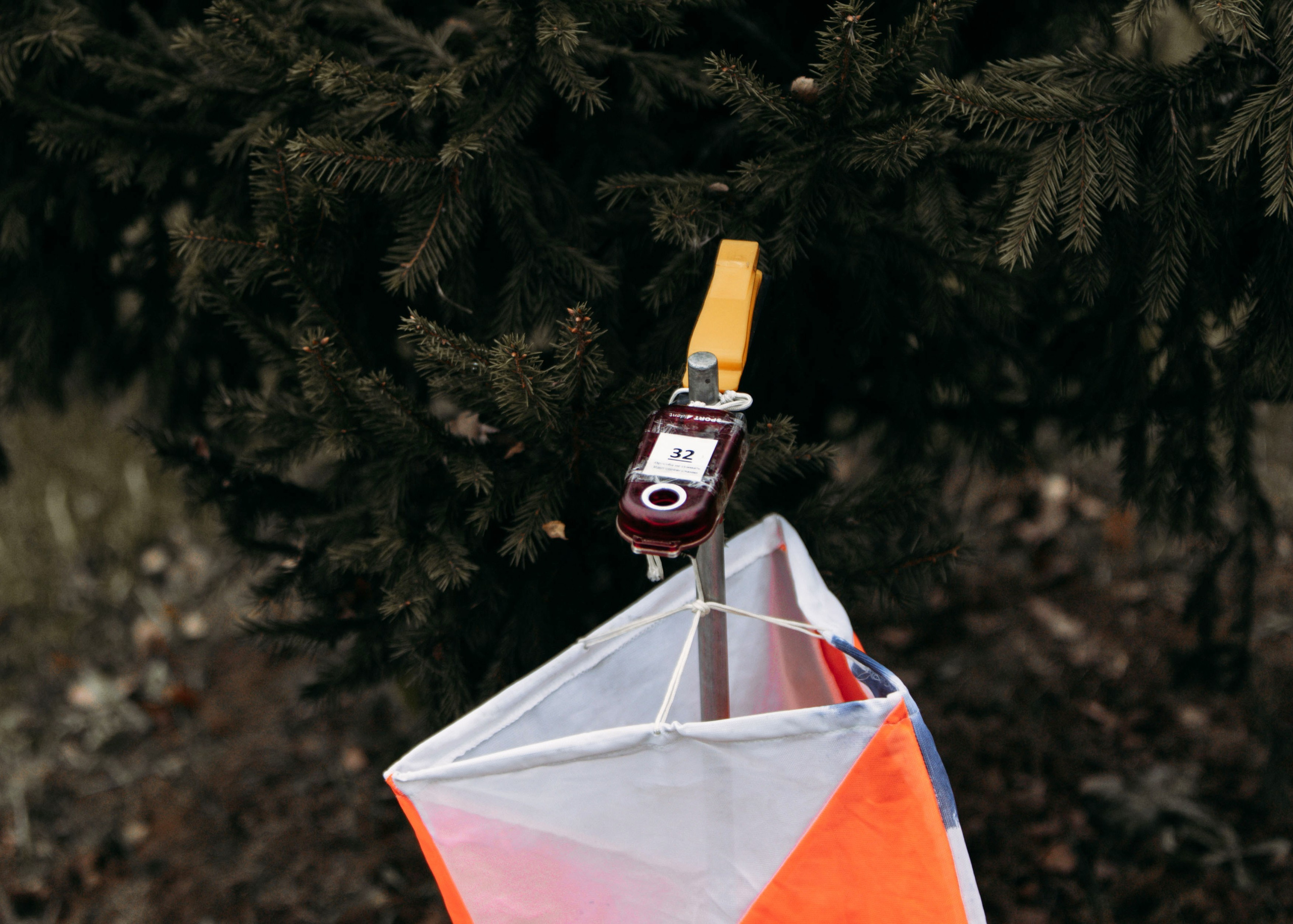 XIX фестиваль спортивного ориентирования «Воскресенская осень». Выпускные альбомы для школы и детского сада — школьный фотограф Подольск, Троицк, Щербинка, Москва