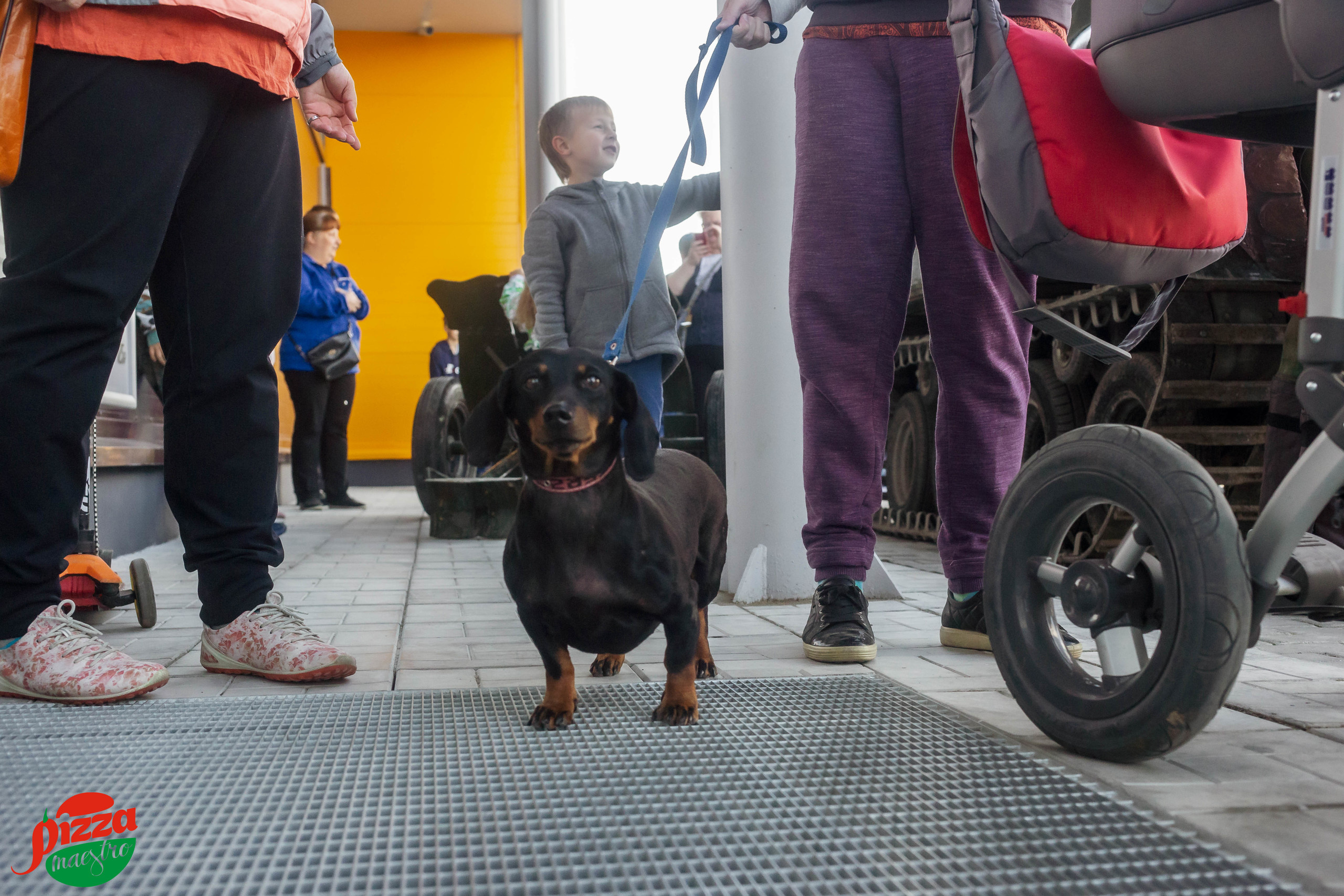 Репортажная фотосессия для Pizza Maestro. Бизнес, мужской фотограф в Краснодаре | Аксёнов Алексей Владимирович