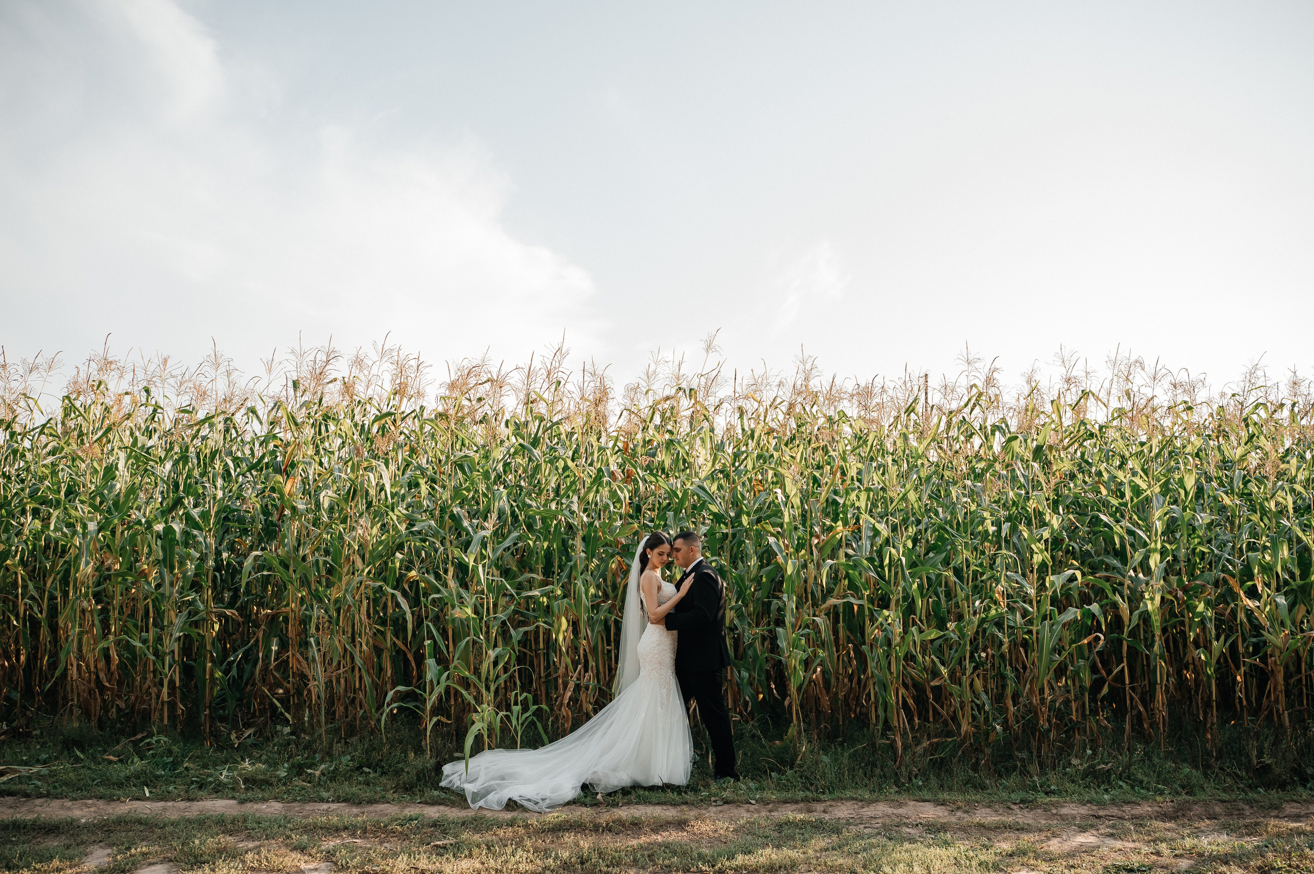 Никита и Аня 31.08.2024. Свадебный и семейный фотограф в городе Смоленске