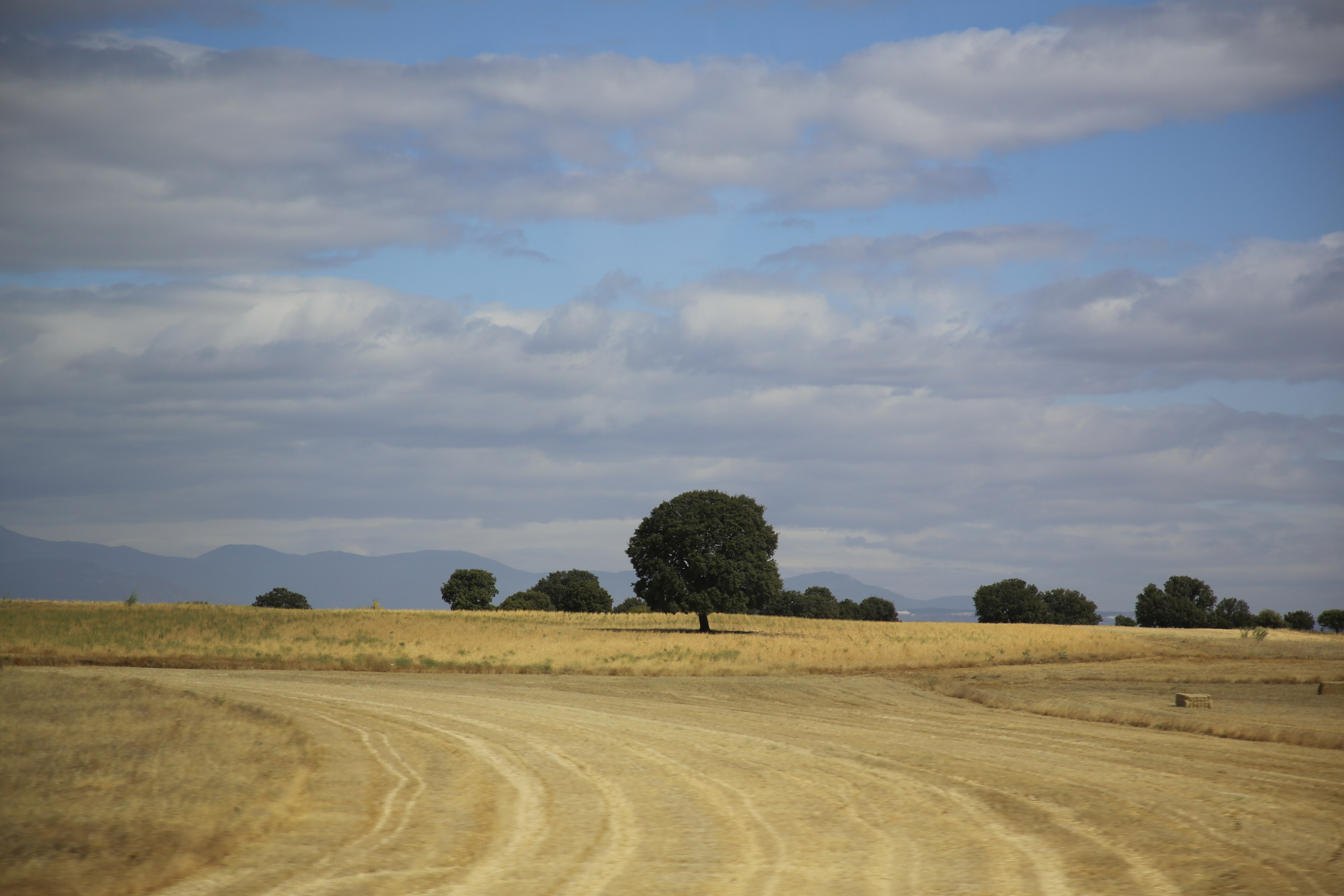 Lisbon, Portugal. Andrey Filippov Photographer