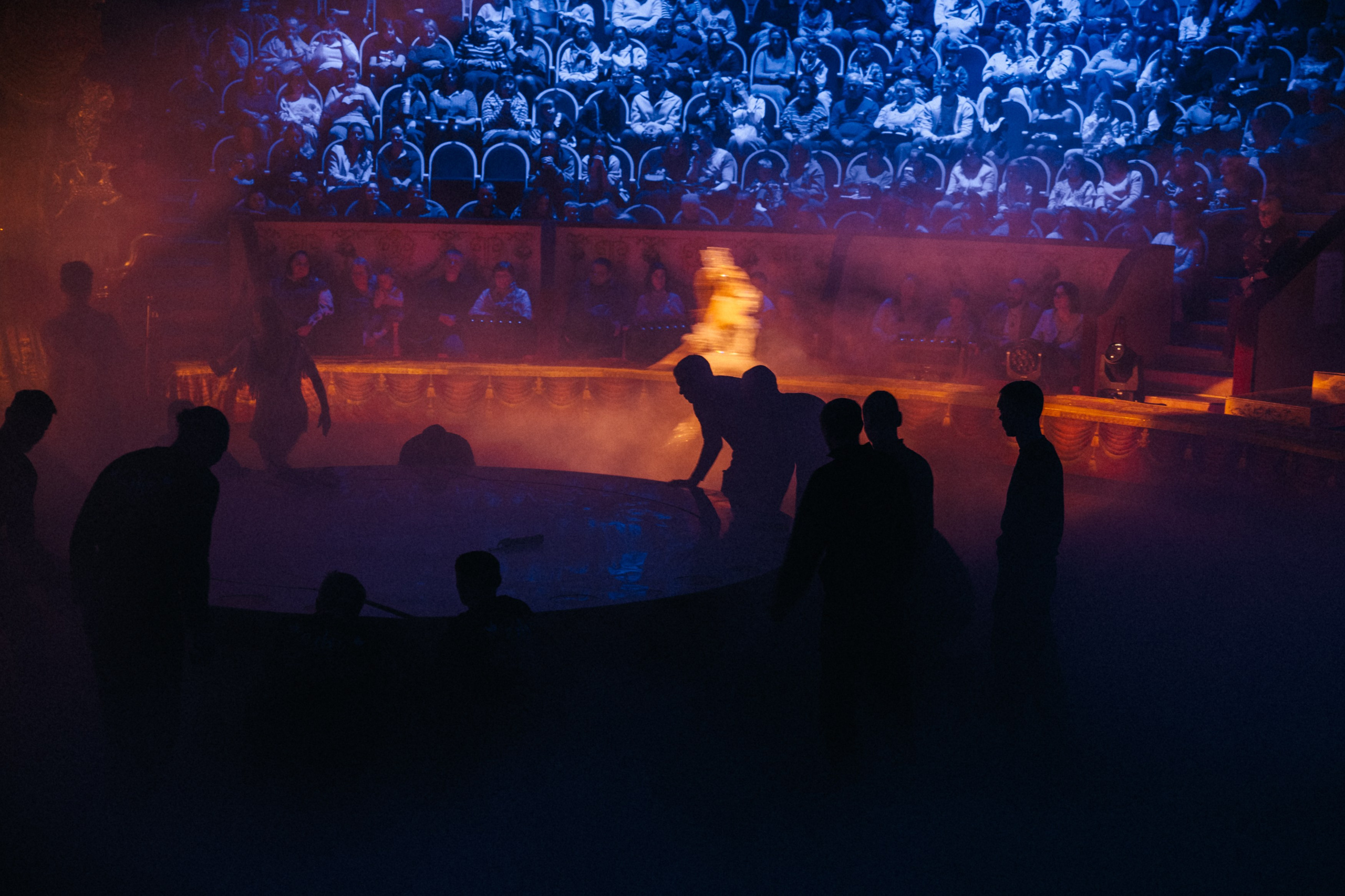 Королевский Цирк Гии Эрадзе. Репортажный и портретный фотограф в Санкт-Петербурге Степлевич Дарья