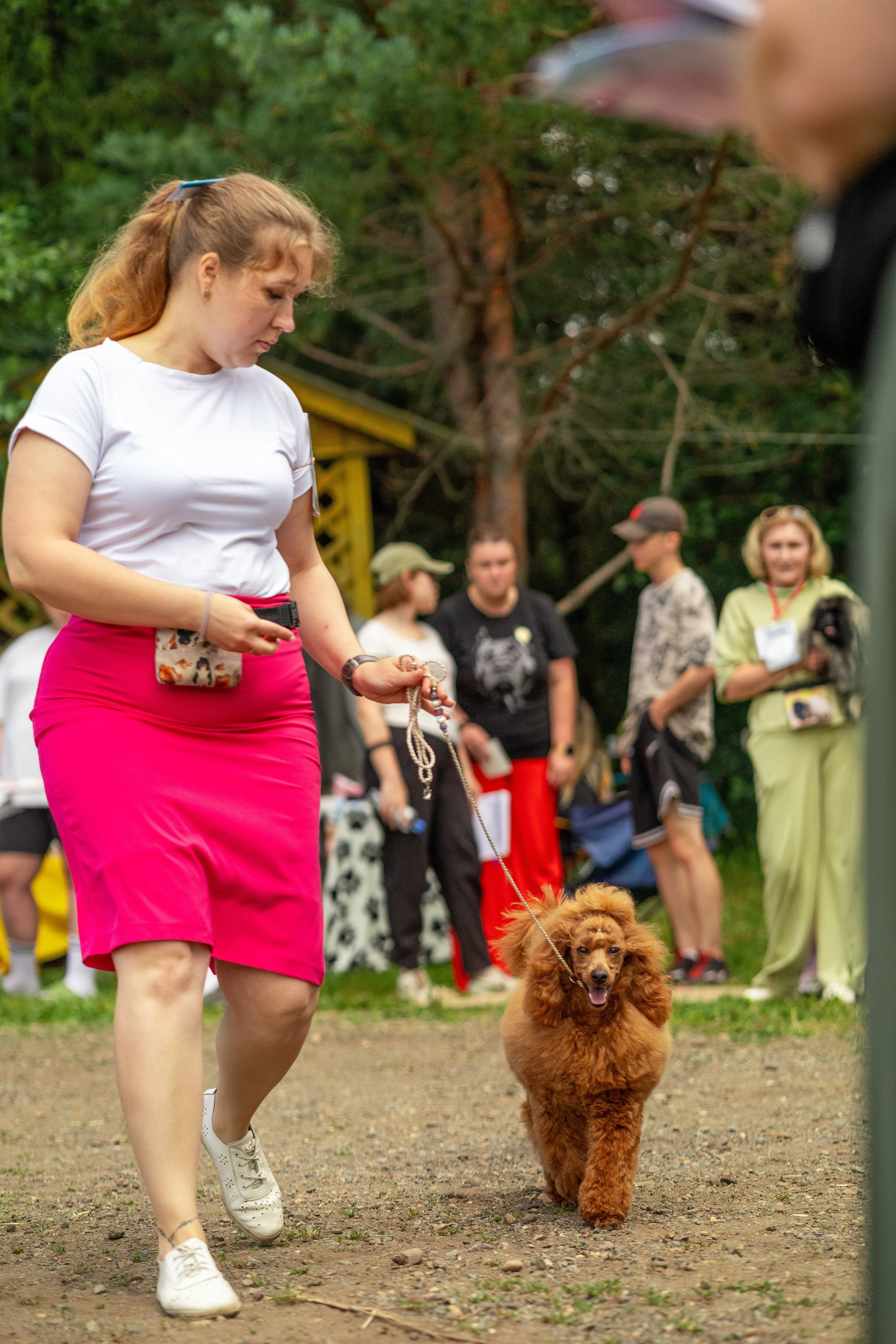 Собаки. Фотограф Яна Матвеева в Ижевске