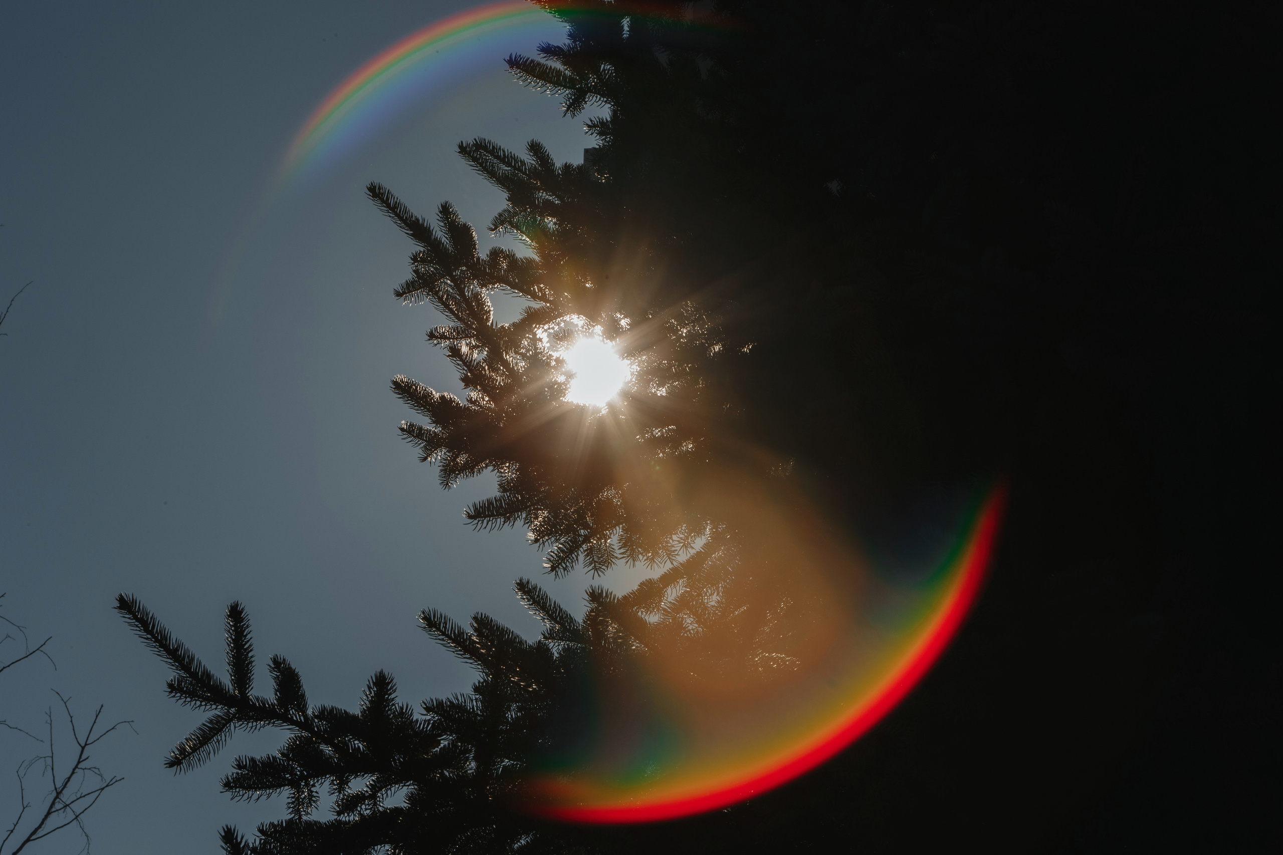 Павел и Виктория. Святослав Дьяконов — фотограф на свадьбу в Воронеже